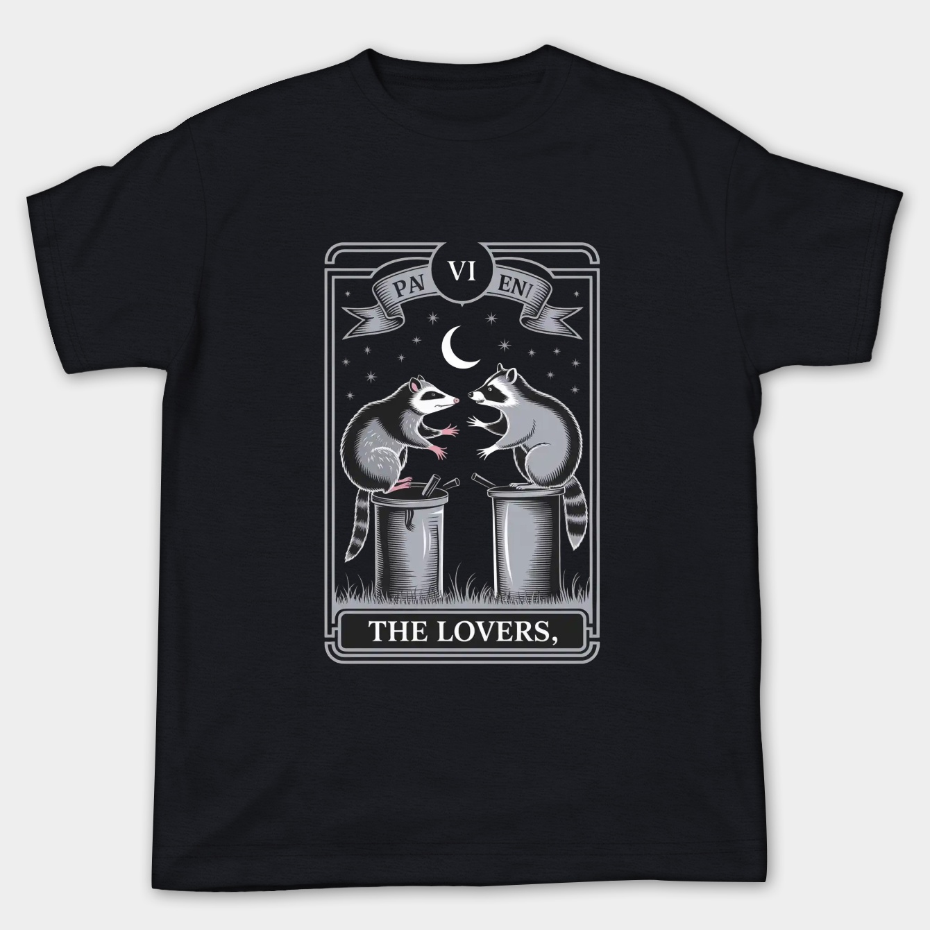 Tarot Possum and Raccoon Fighting Over Trash Vintage, Raccoon Possum Lovers, Funny Gag Unhinged Meme