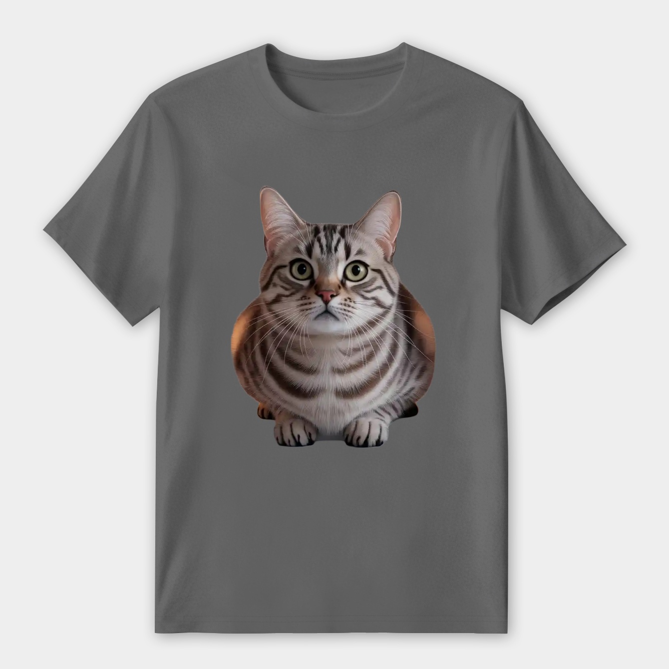 Bella the Curious Cat Women's Premium Soft T-Shirt