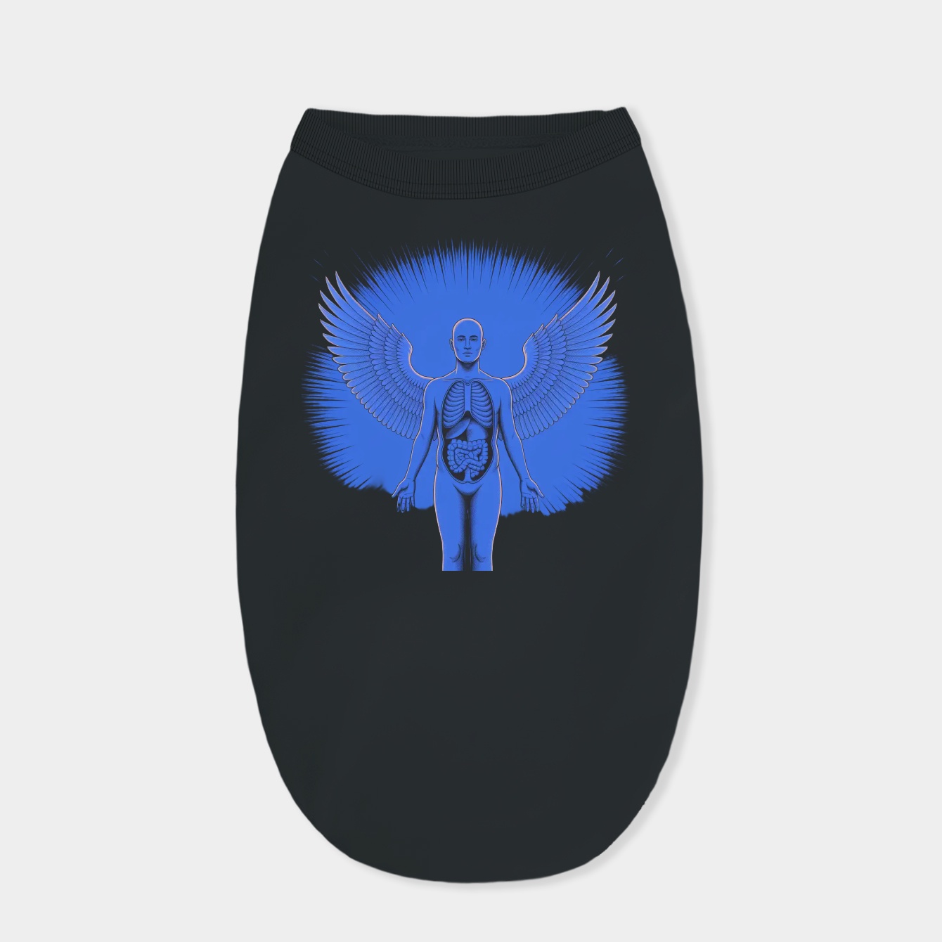 Nirvana Blue In Utero Angel