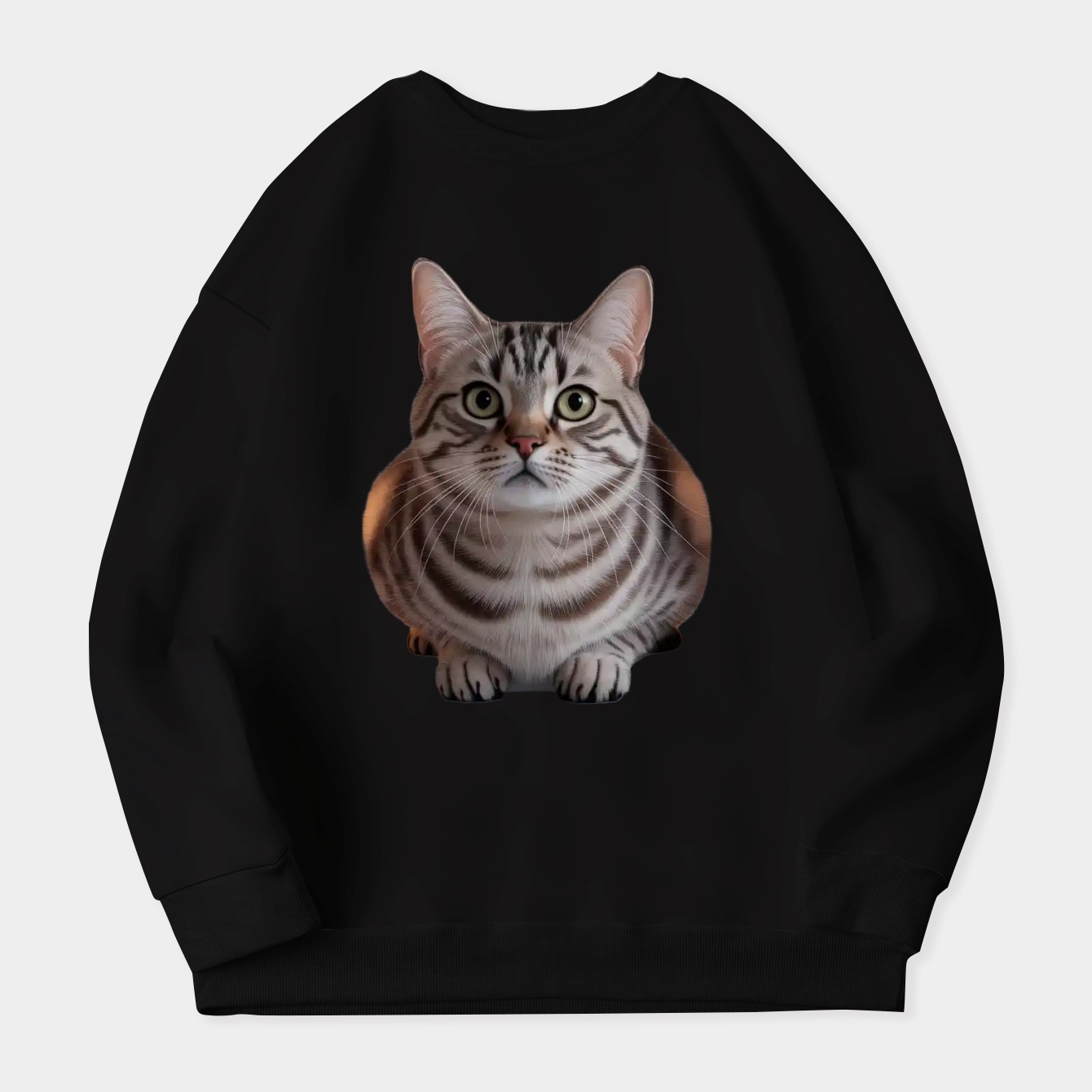 Bella the Curious Cat Women's Plus Size Sweatshirt