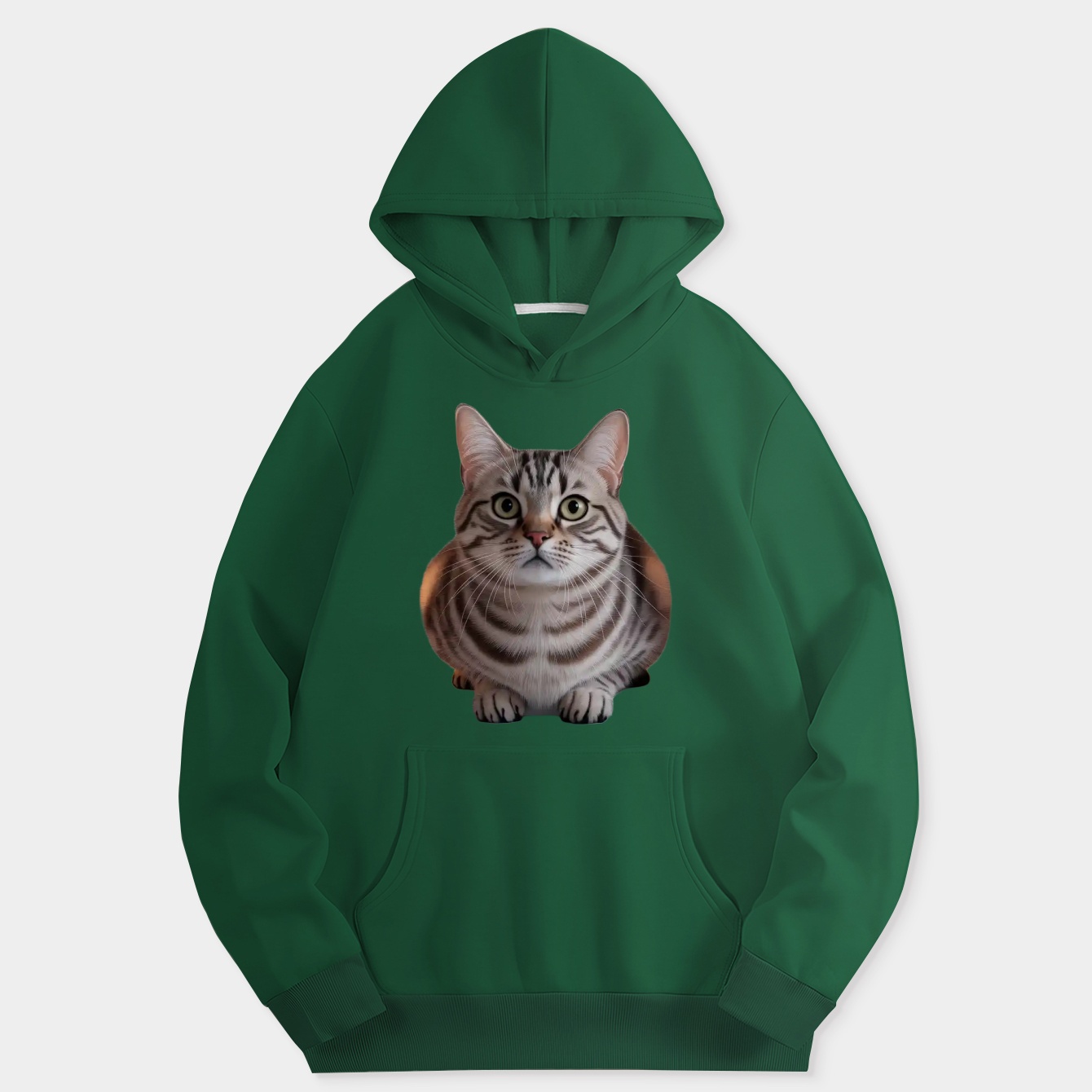 Bella the Curious Cat