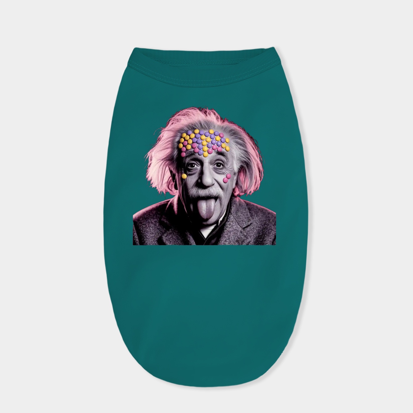 sour albert einstein Dog Shirt