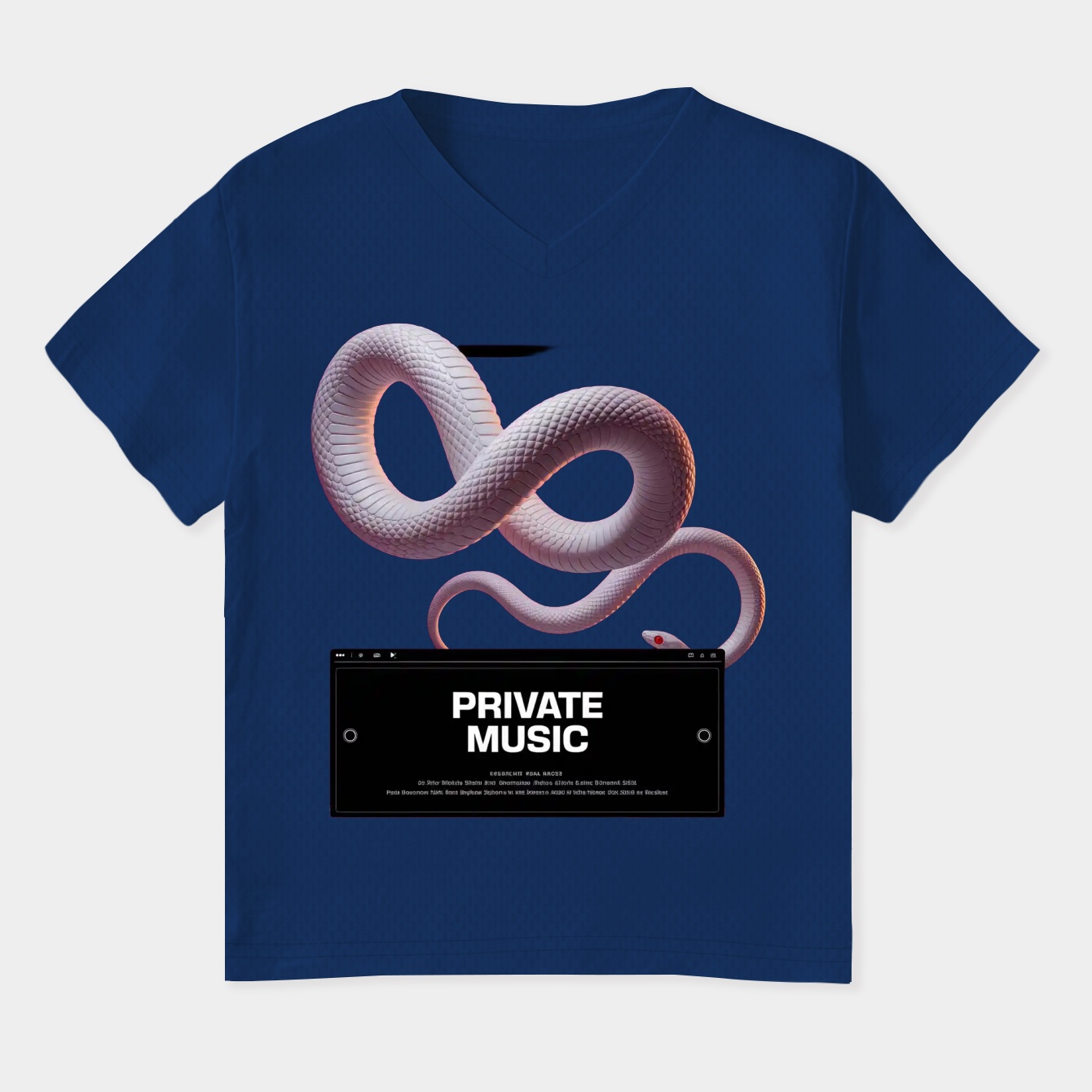 deftones private music Women's Plus Size V-Neck T-Shirt