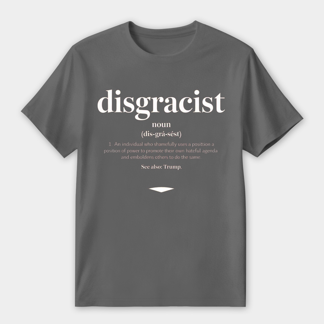 Disgracist Definition Statement Women's Premium Soft T-Shirt