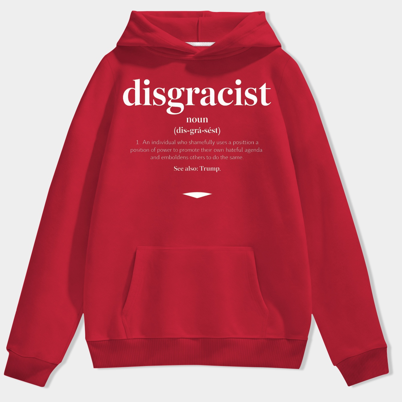 Disgracist Definition Statement Men's Hoodie