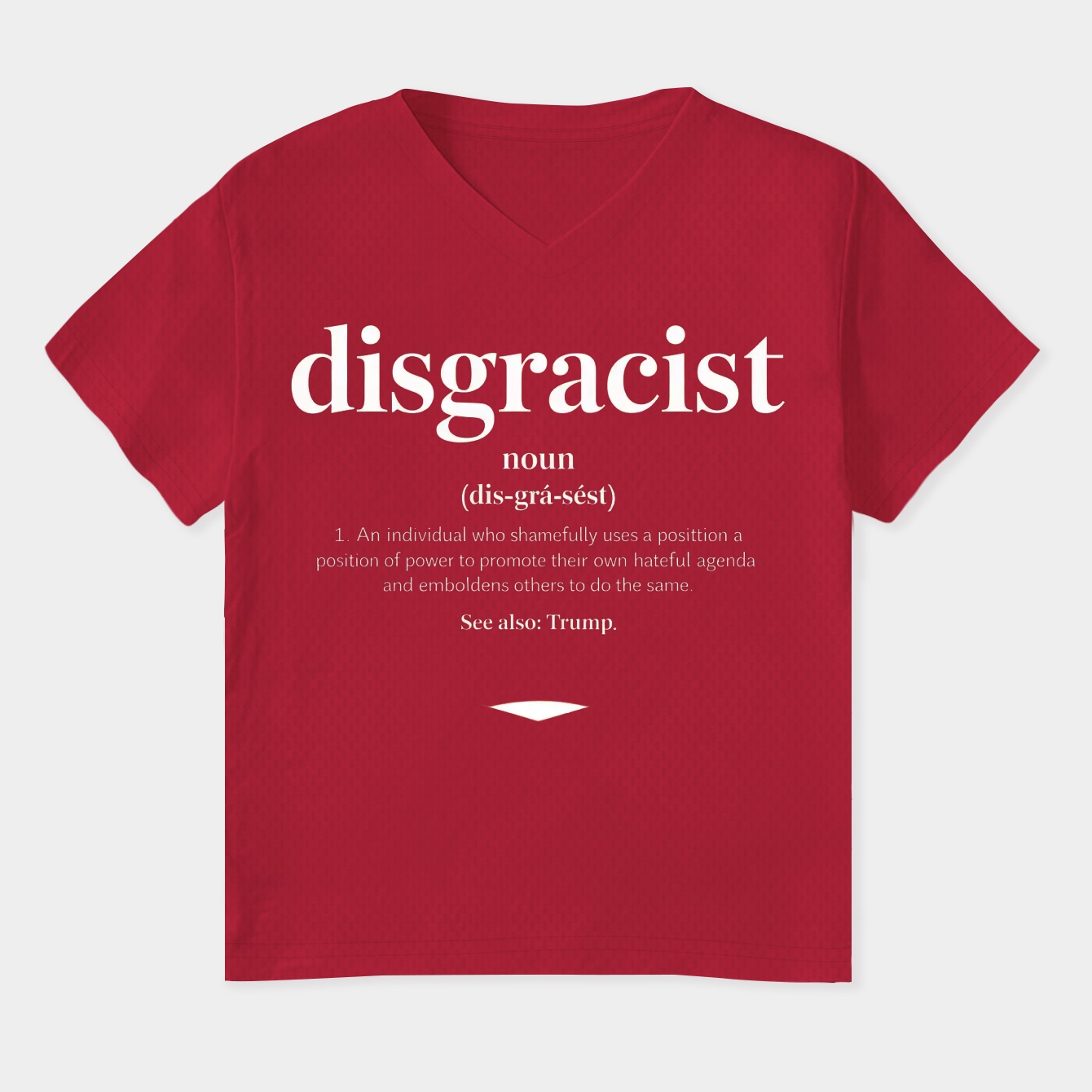 Disgracist Definition Statement Women's Plus Size V-Neck T-Shirt