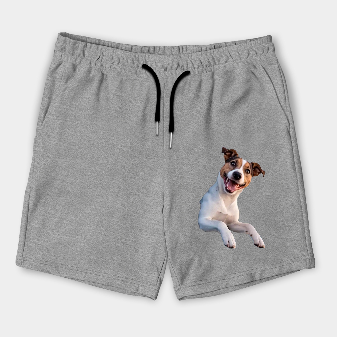 Dog enjoying traveling by car. Jack Russell Terrier looking through the window on the road.