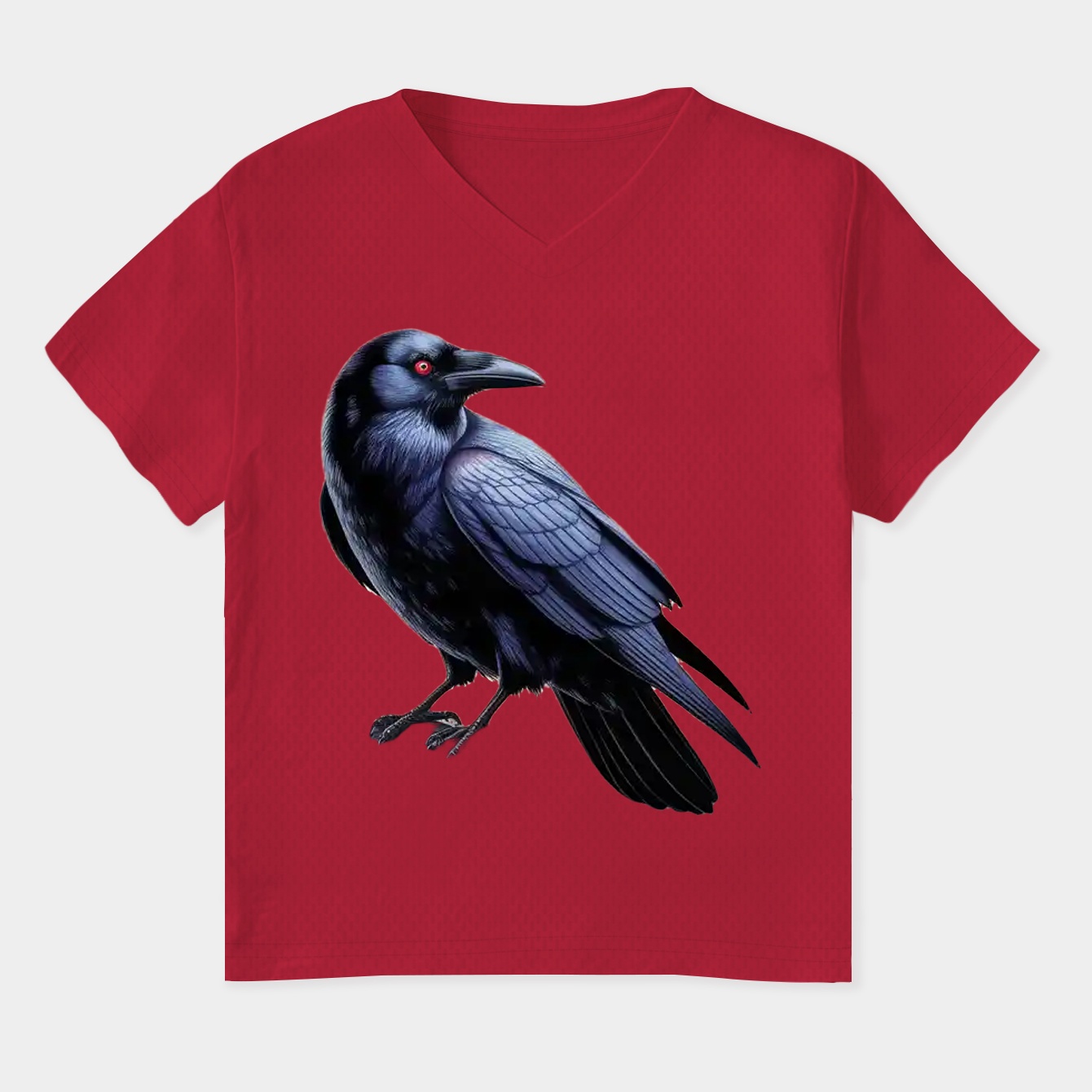 Shadow Raven Women's Plus Size V-Neck T-Shirt