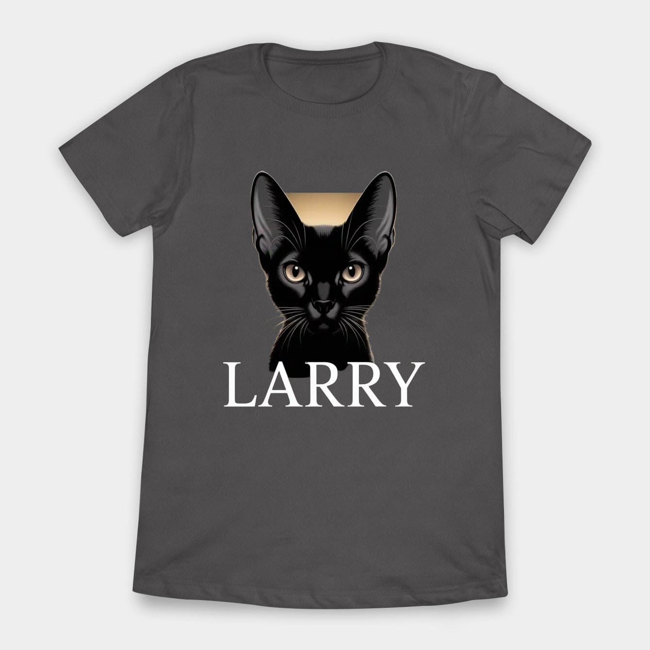 Larry the Cat Portrait Women's T-Shirt