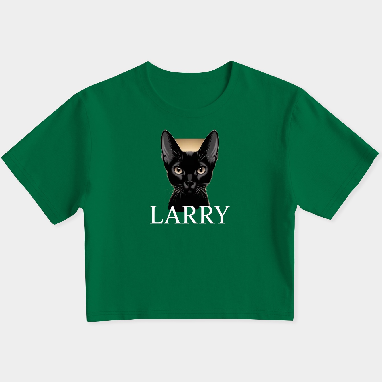 Larry the Cat Portrait Women's Slim Fit Baby Tee
