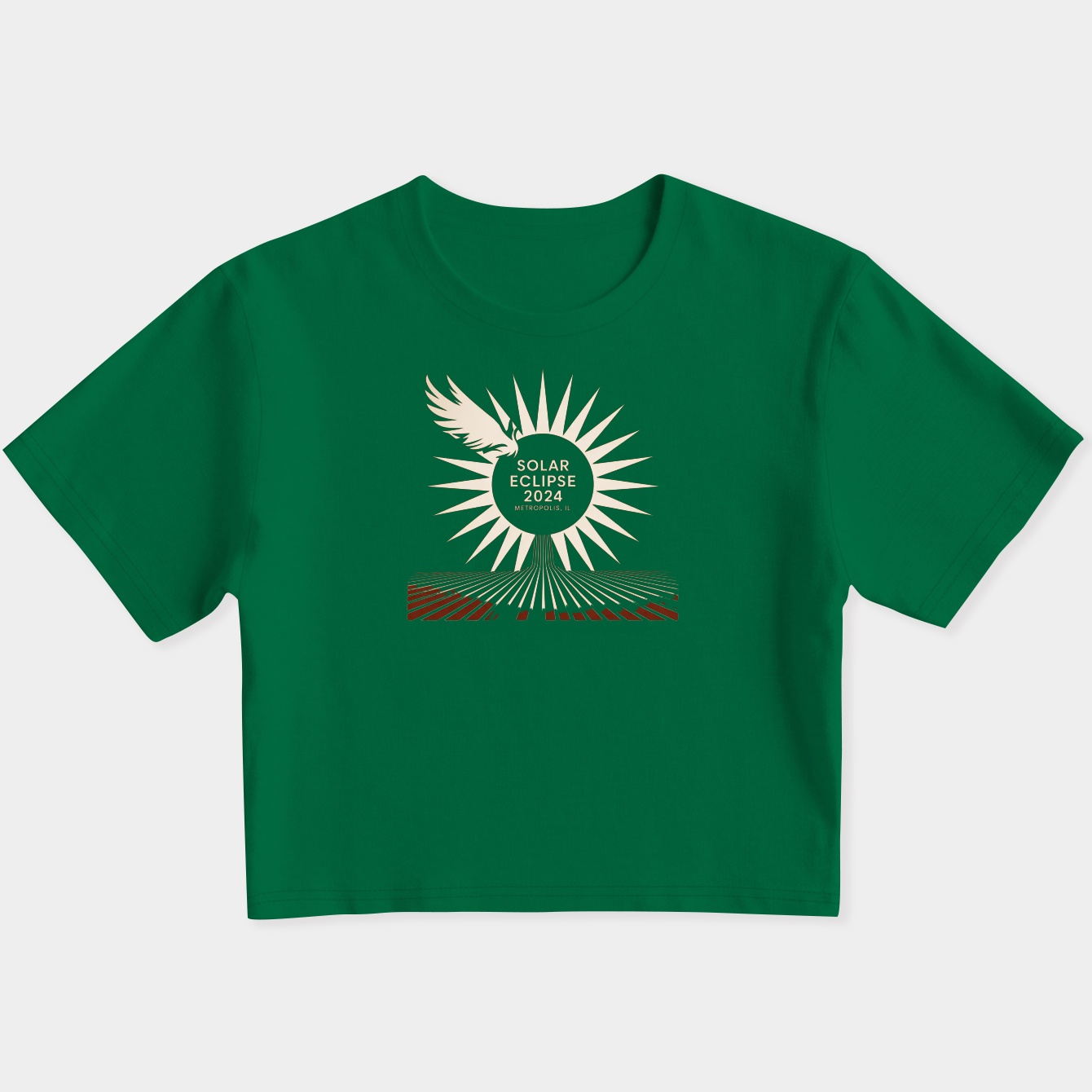 Solar Eclipse 2024 Metropolis IL