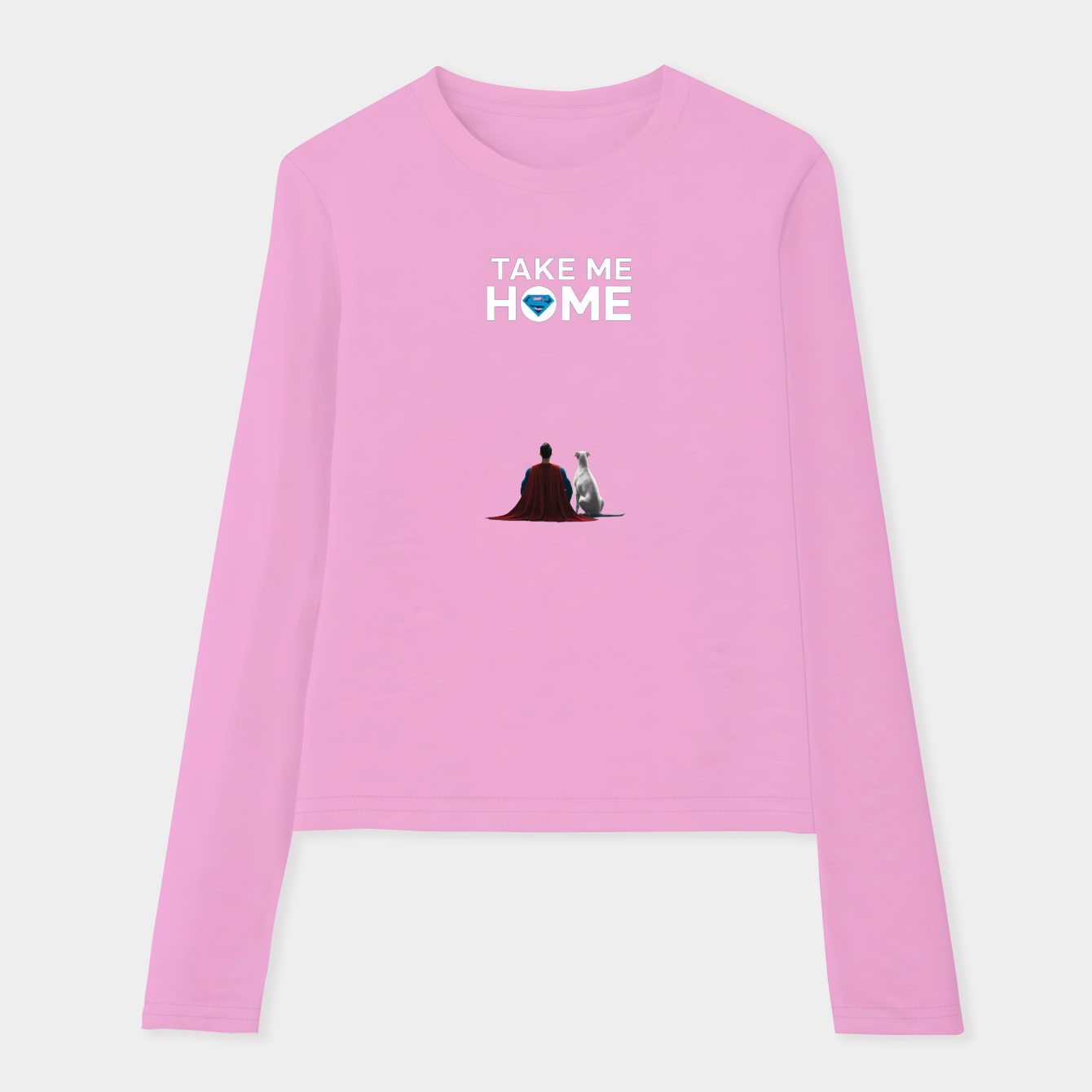 Superman Krypto Poster Take Me Home Mineral Wash