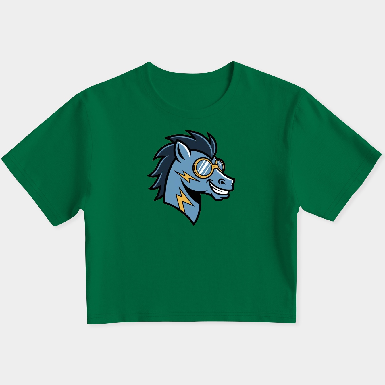 Soarin' Pegasus Character