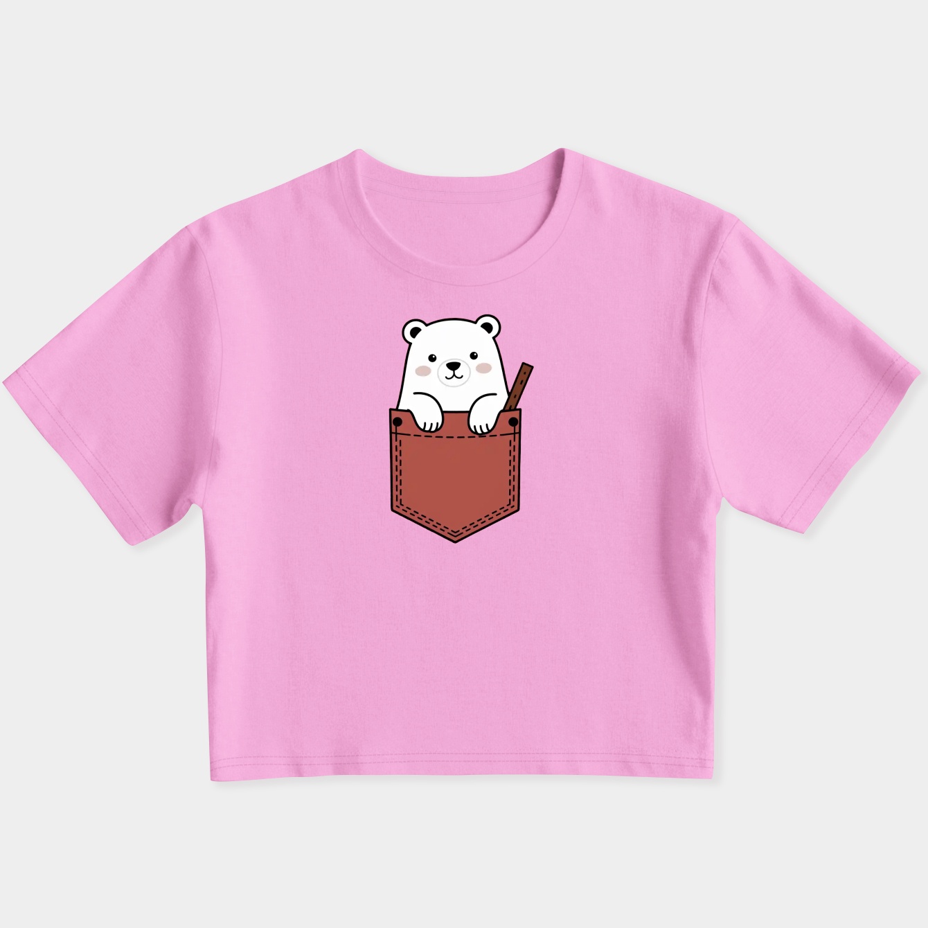 Ice Bear in Pocket