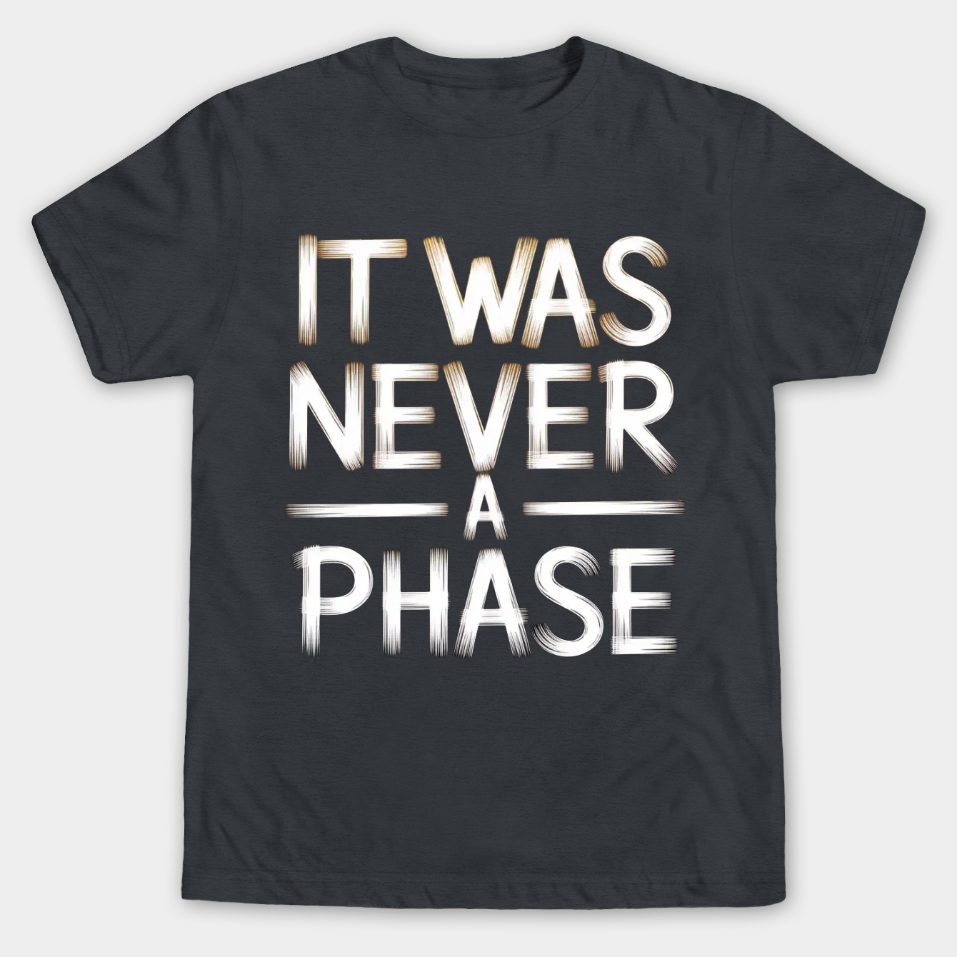 It Was Never A Phase (grey) Men's Big & Tall T-shirt