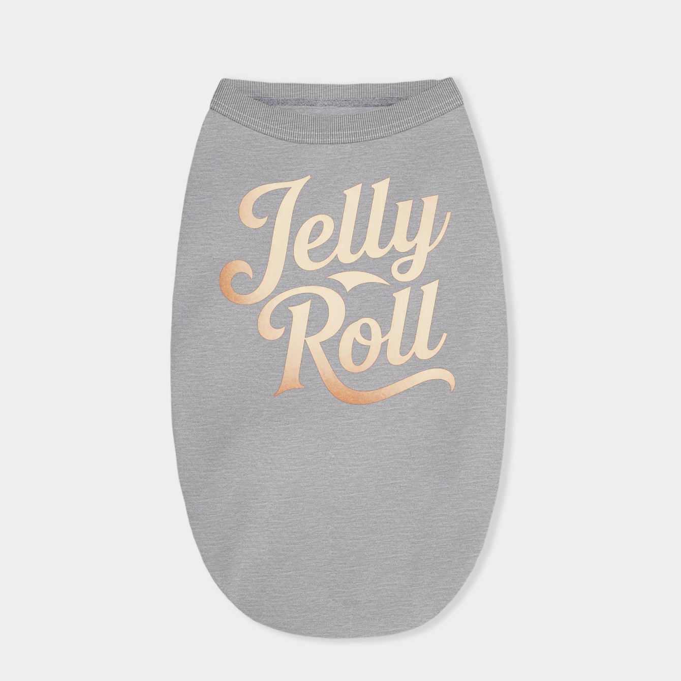 Backroad Baptism Tour Jelly Roll Tour