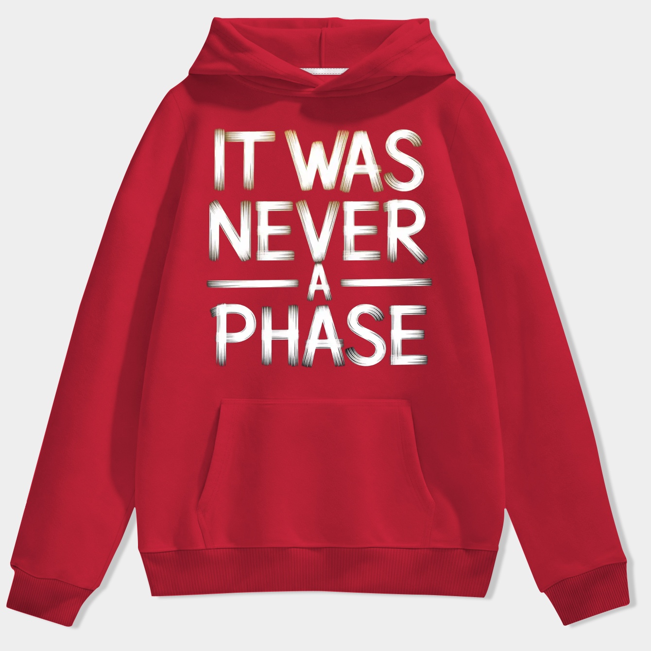 It Was Never A Phase (grey) Men's Hoodie