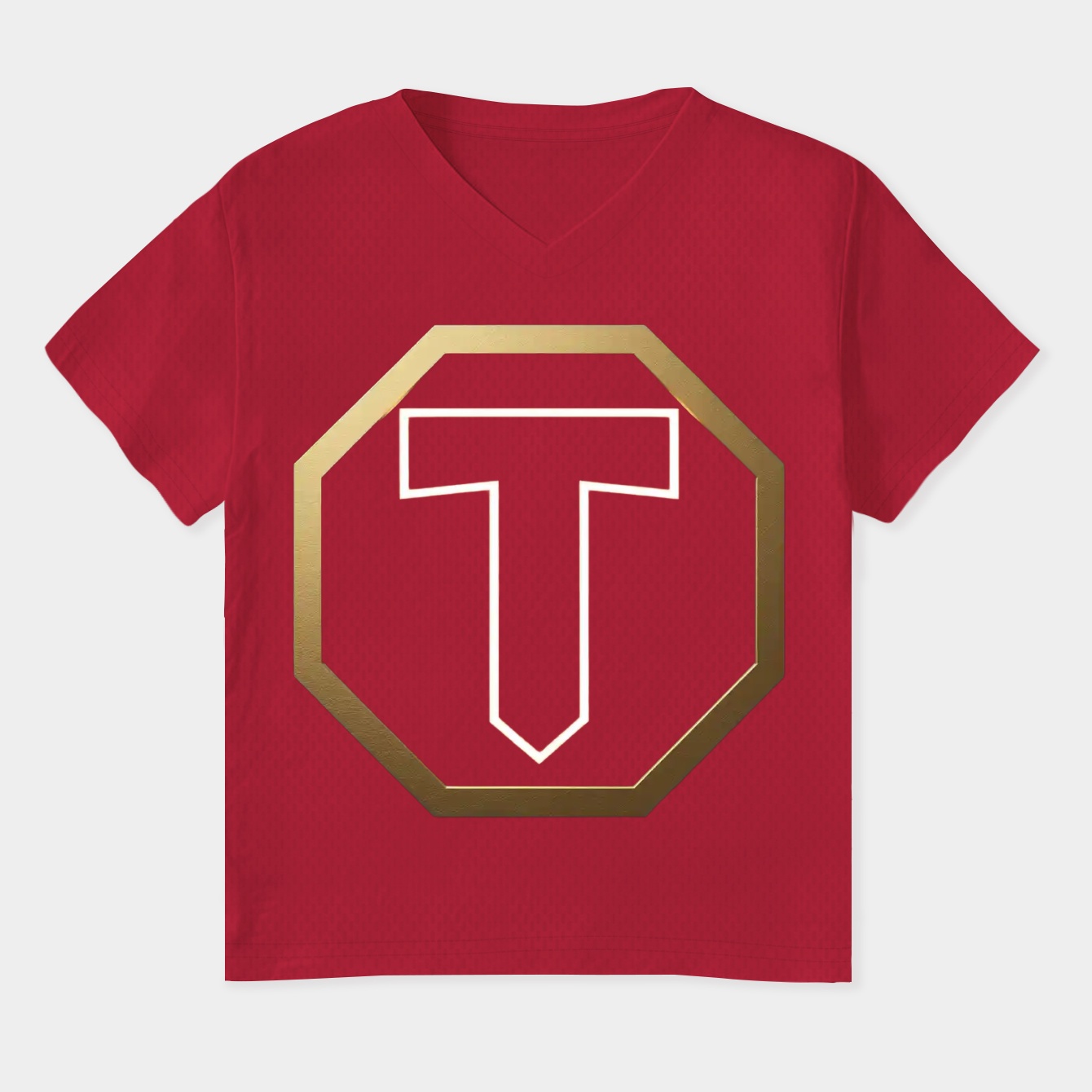 Stonecutters Women's Plus Size V-Neck T-Shirt