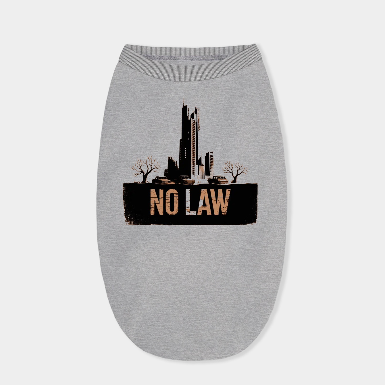 No Law Ruined Skyscraper