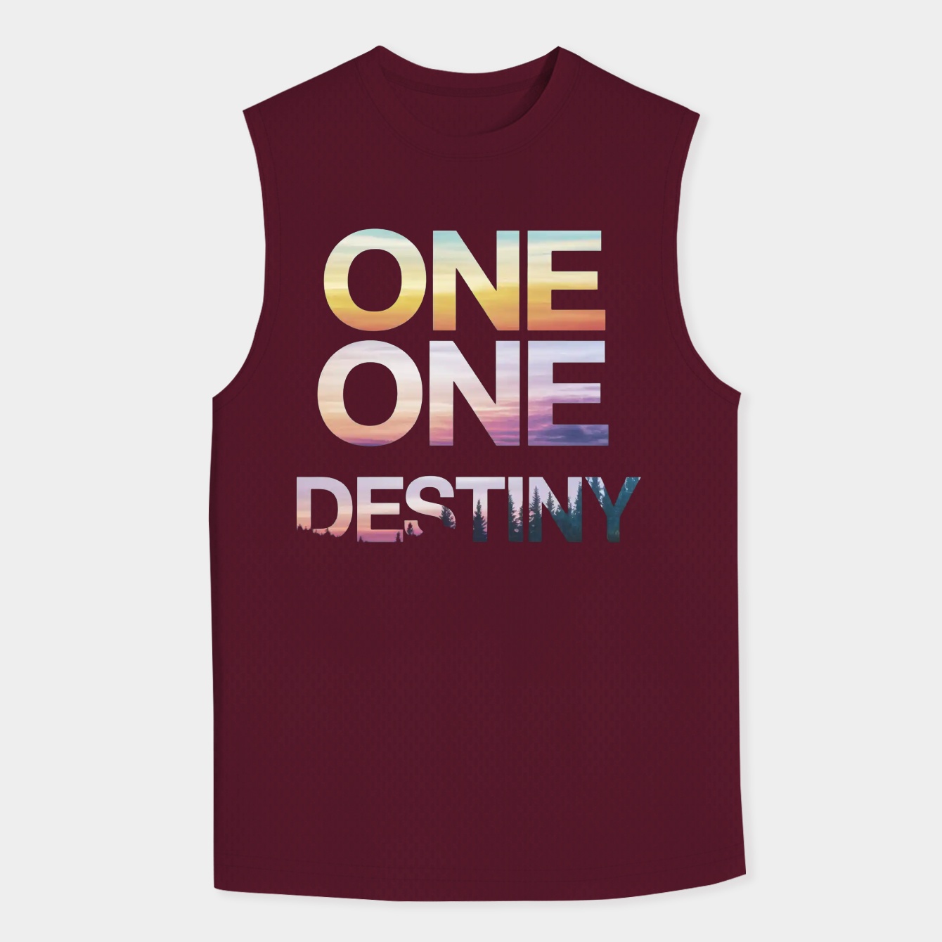 Kingdom Hearts One Sky One Destiny