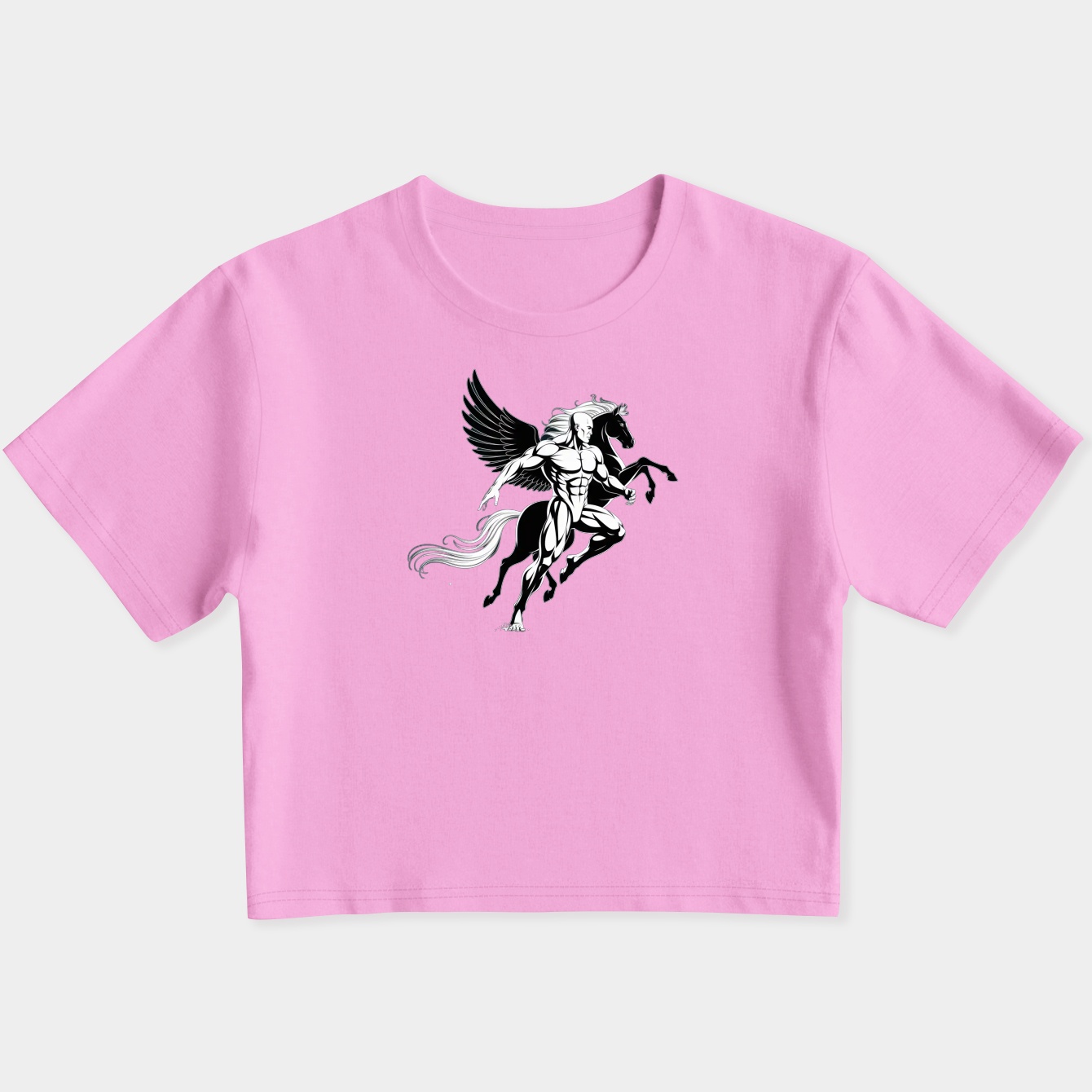 pegasus Women's Slim Fit Baby Tee