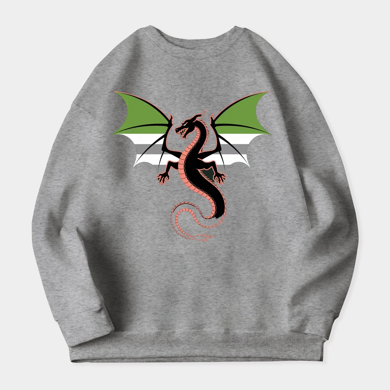 Aromantic Pride Dragon Women's Plus Size Sweatshirt