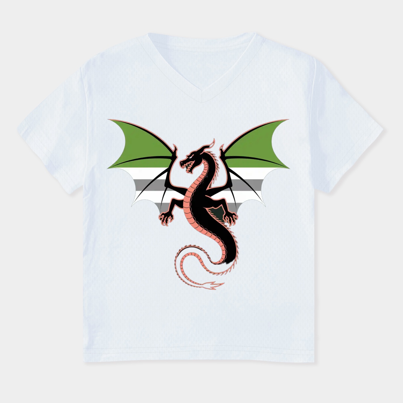 Aromantic Pride Dragon Women's Plus Size V-Neck T-Shirt