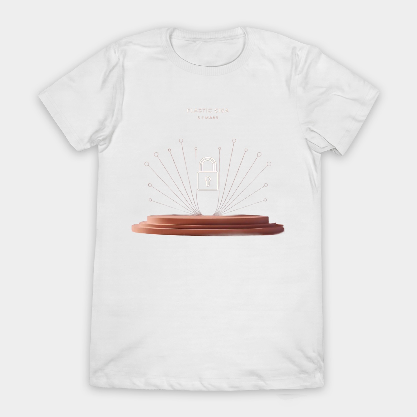 Secure Network Connectivity Padlock Women's T-Shirt