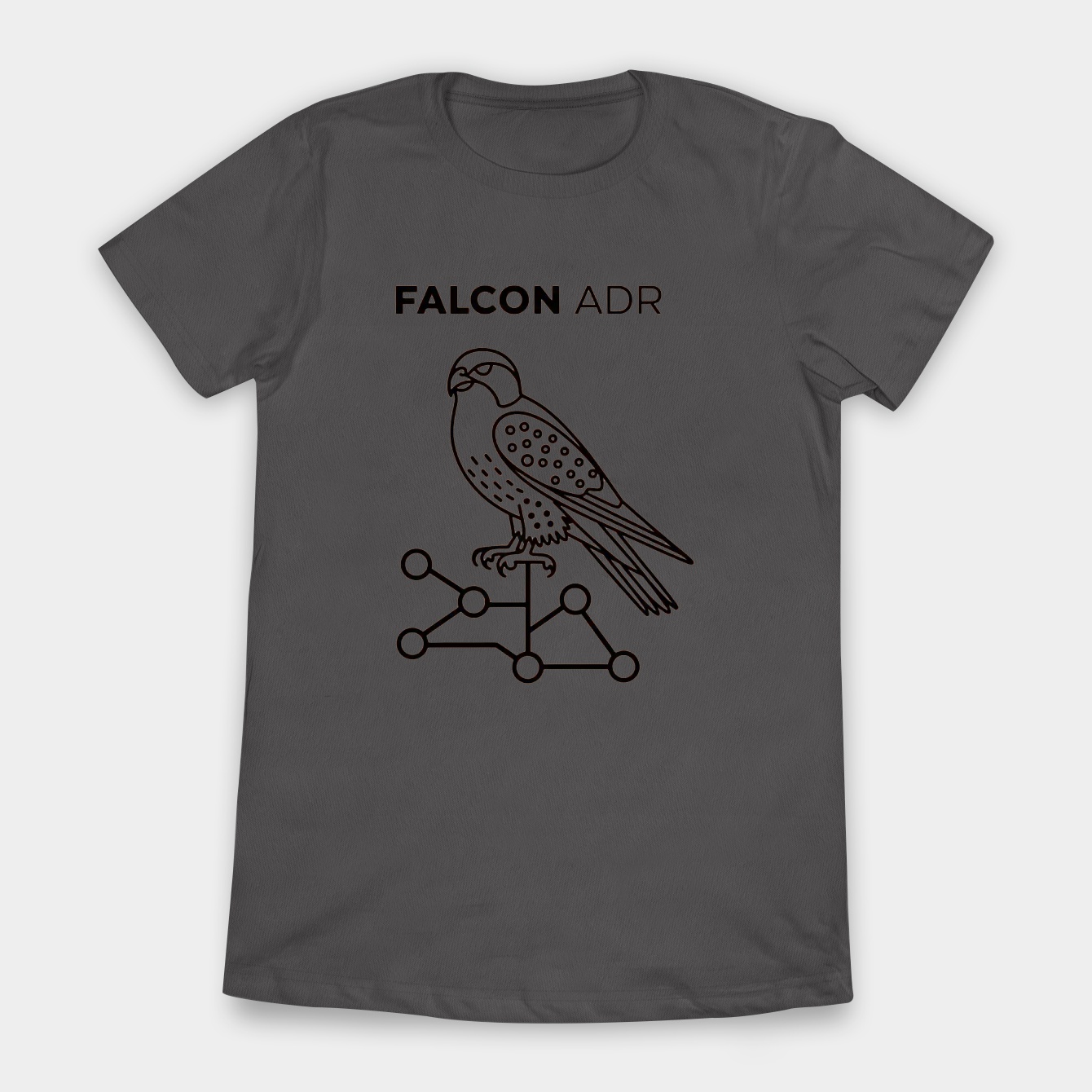 Falcon AIDR: AI Sentinel Perch