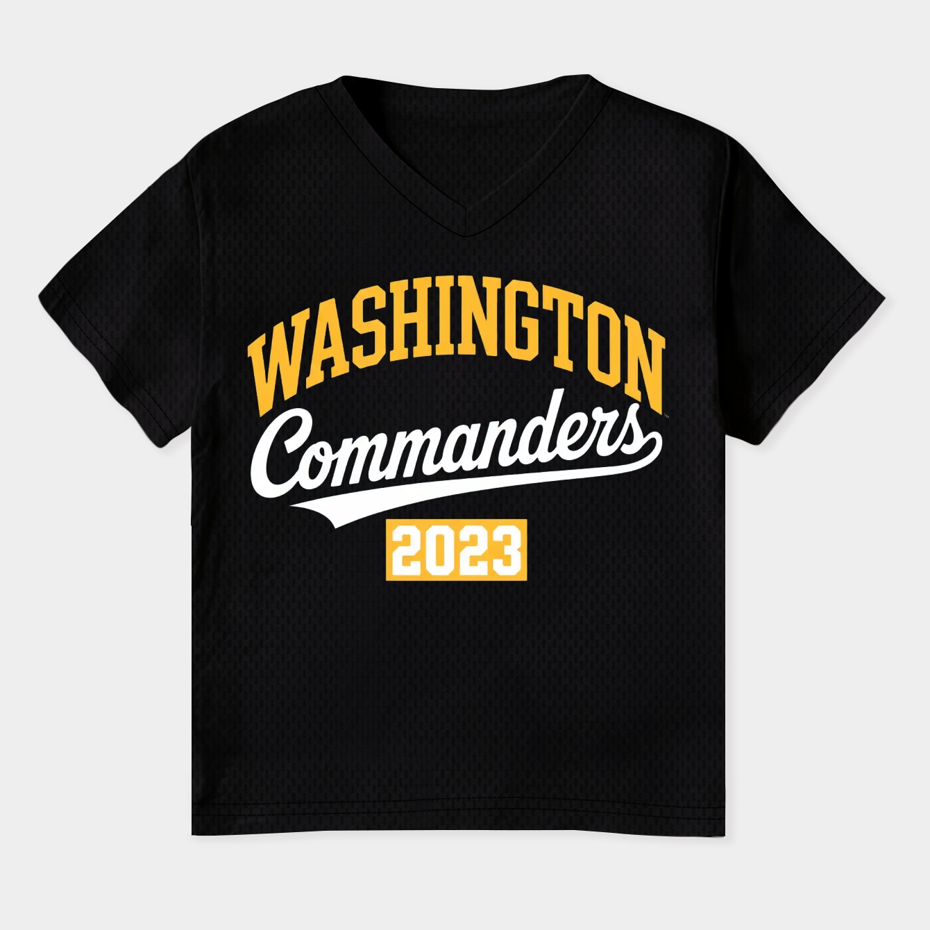 Washington Commanders 2023 Women's Plus Size V-Neck T-Shirt