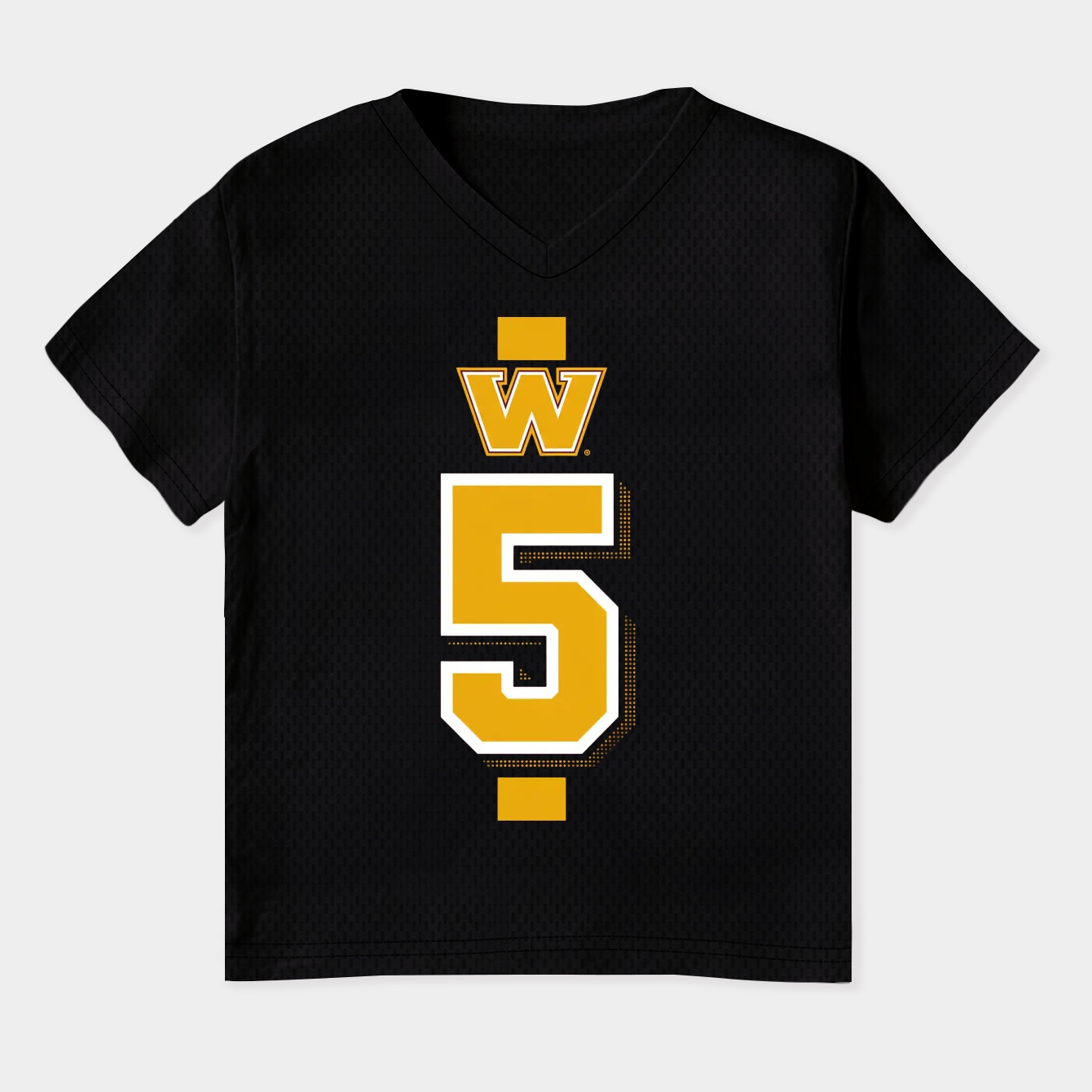 washington-redskins Women's Plus Size V-Neck T-Shirt