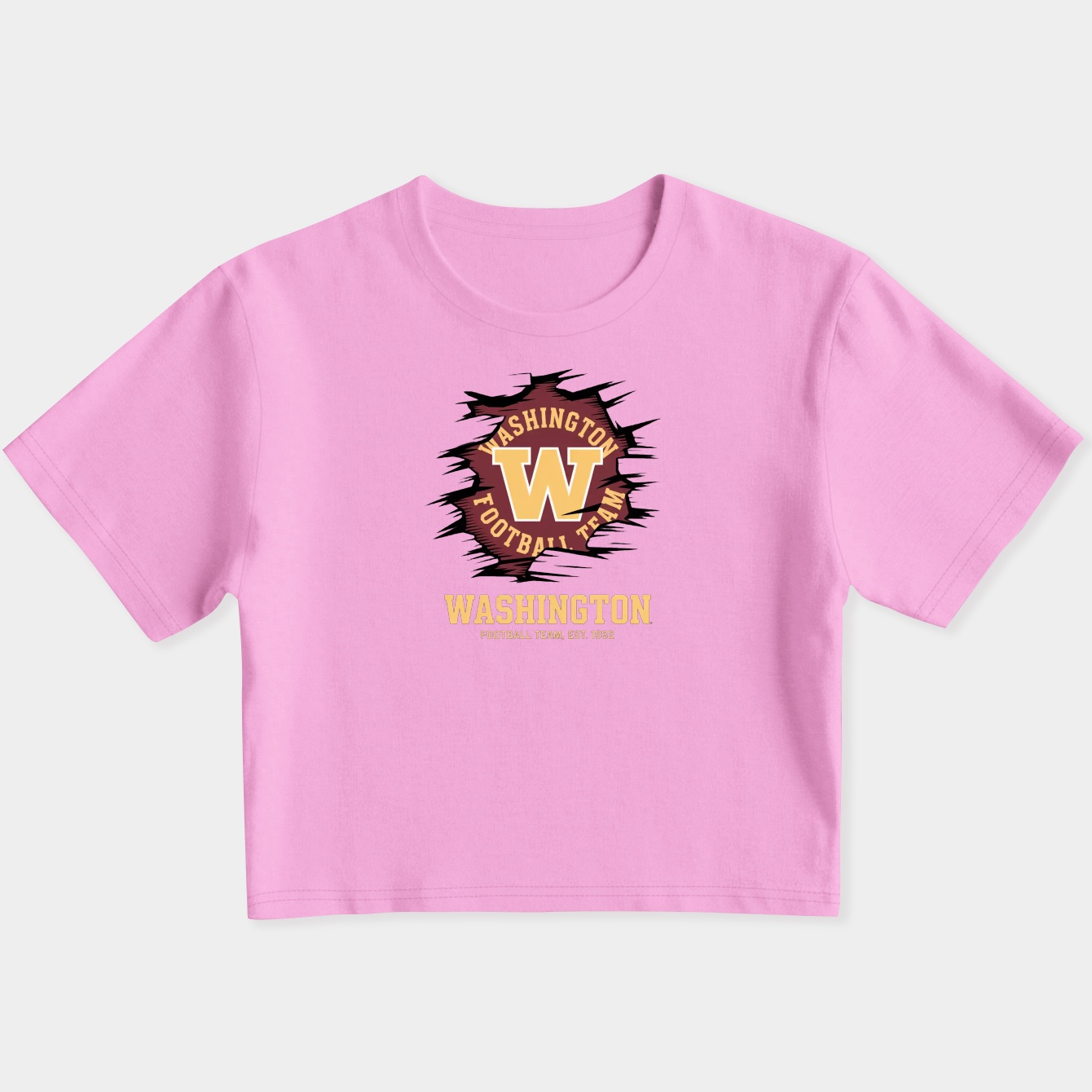 Vintage Washington Football Commanders Redskins Hail Women's Slim Fit Baby Tee