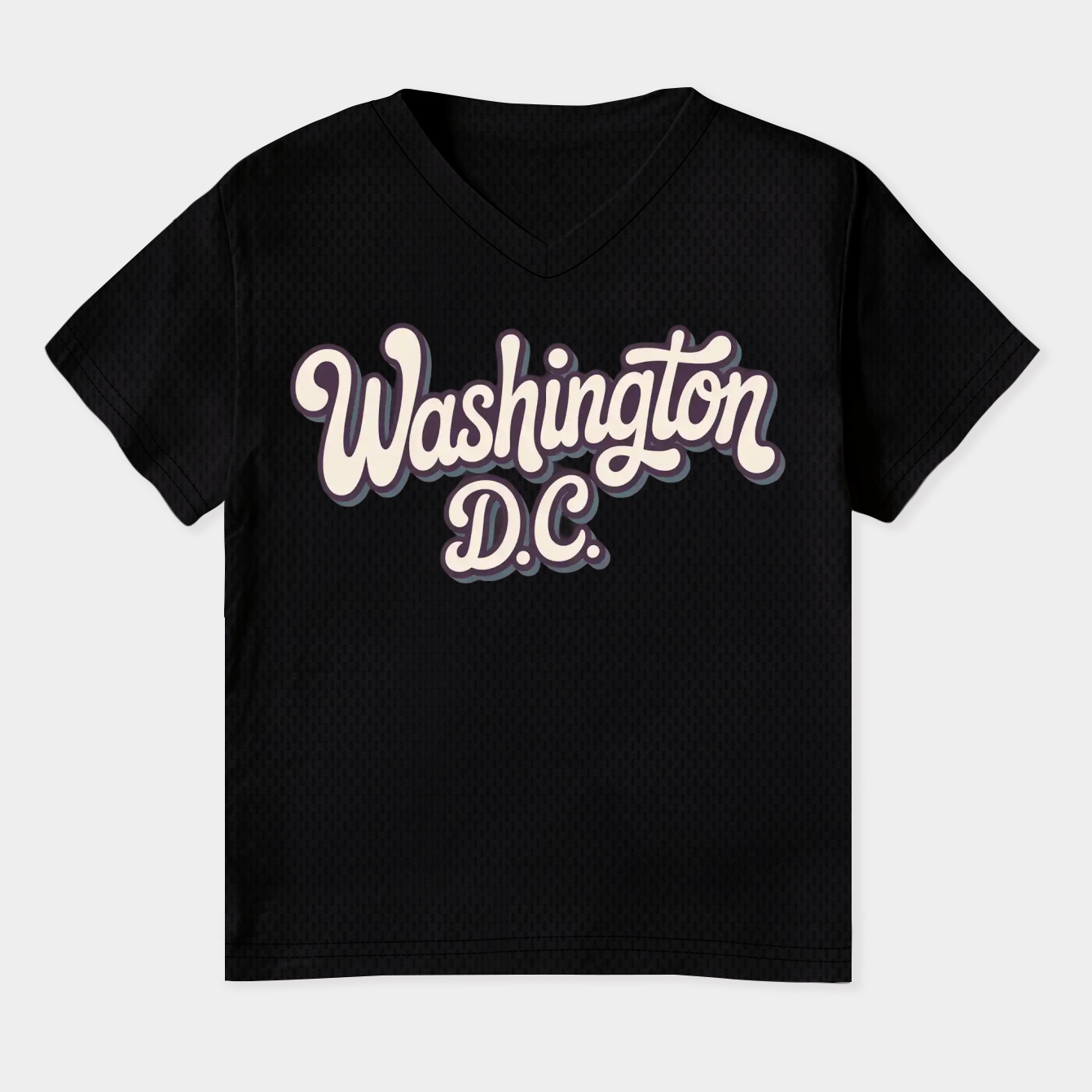 Washington D.C. Women's Plus Size V-Neck T-Shirt