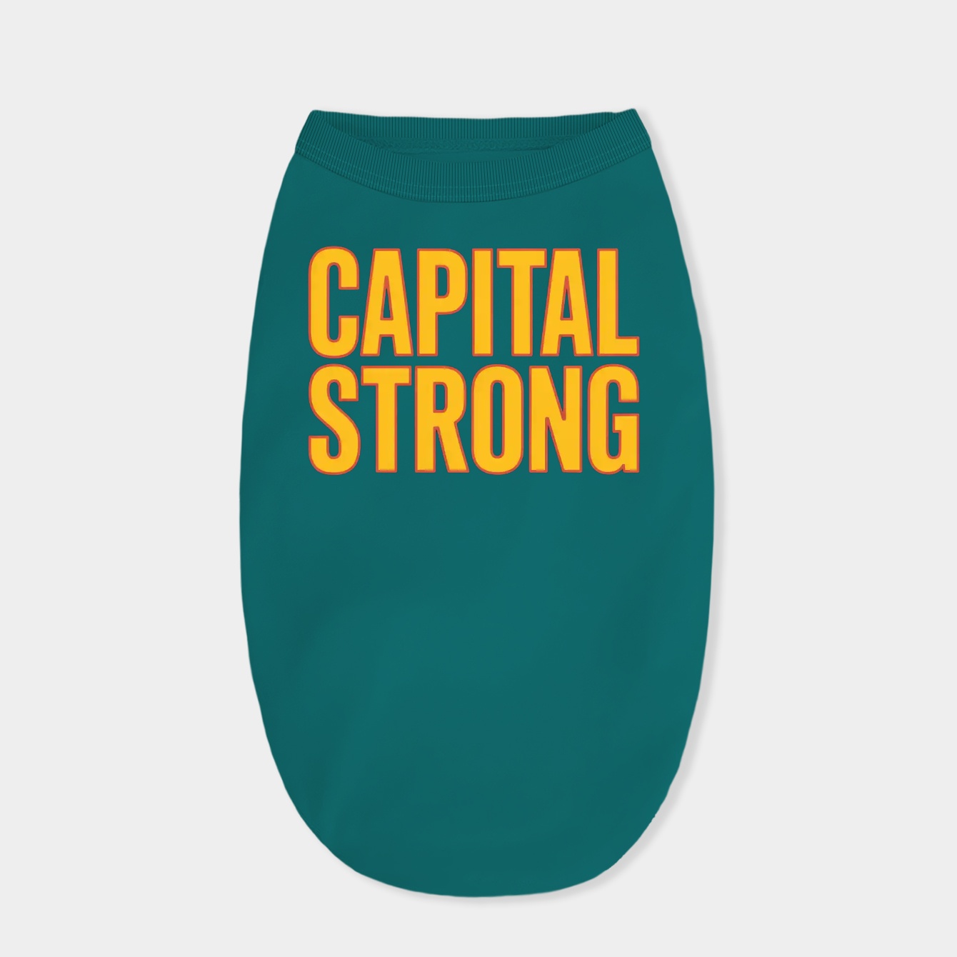 Capital Strong Washington Commanders Dog Shirt