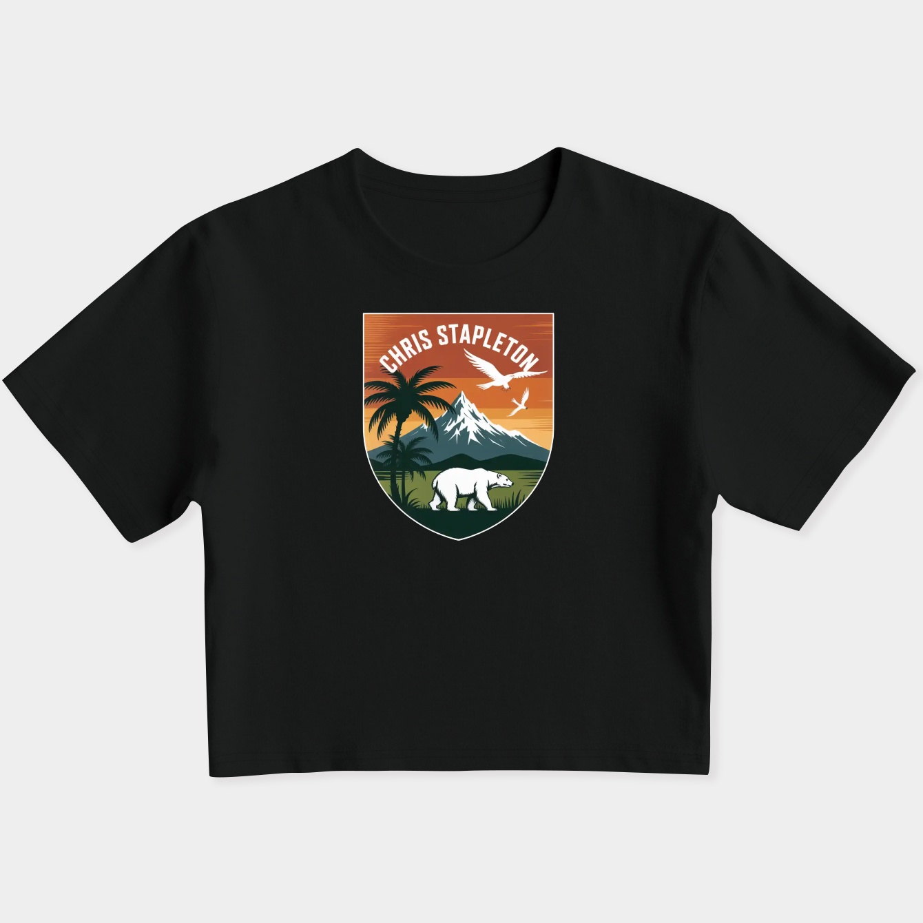 chris stapleton island Women's Slim Fit Baby Tee