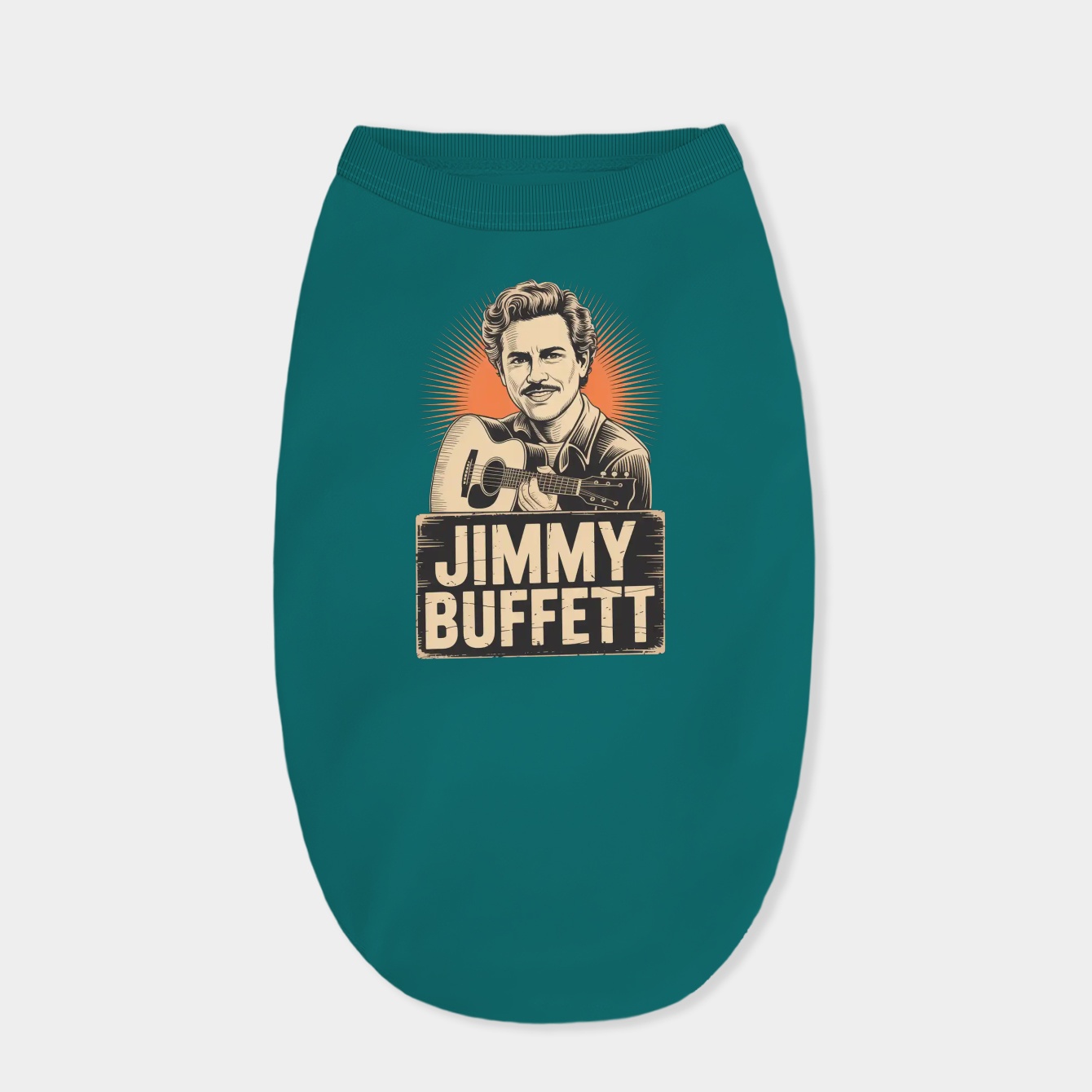 COUNTRY VINTAGE jimmy buffett some Guitars