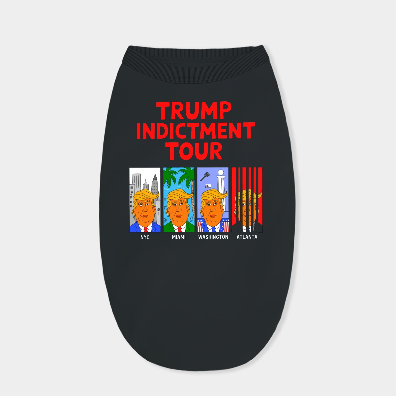 Trump Indictment Tour