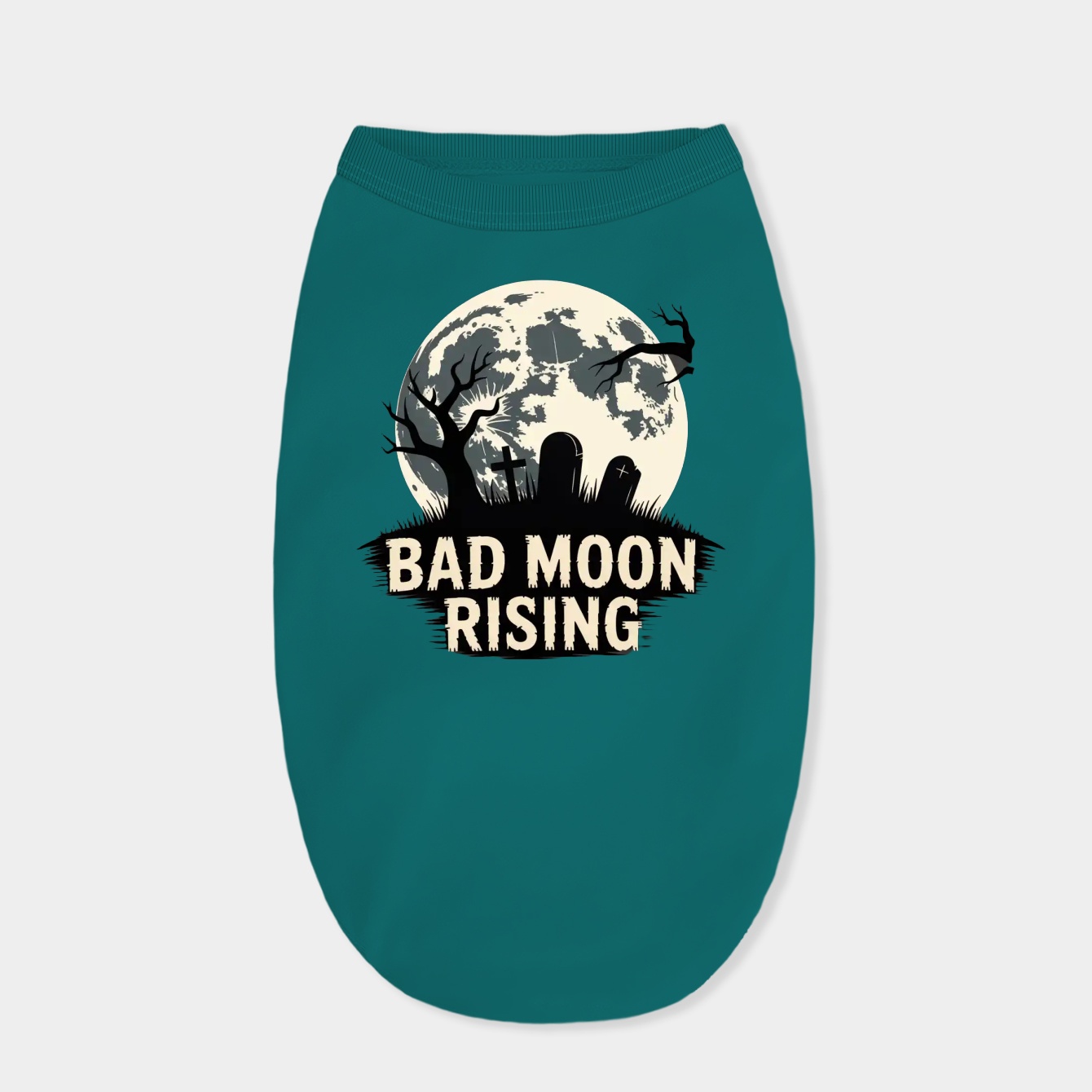 jutting like a gray thumbnail down the path from Emerson and his boulder of granite