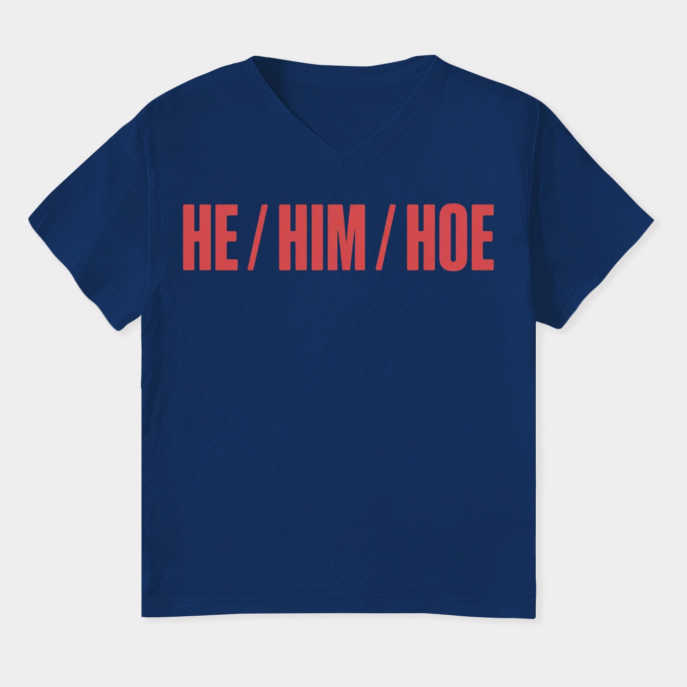 He / Him / Hoe Women's Plus Size V-Neck T-Shirt
