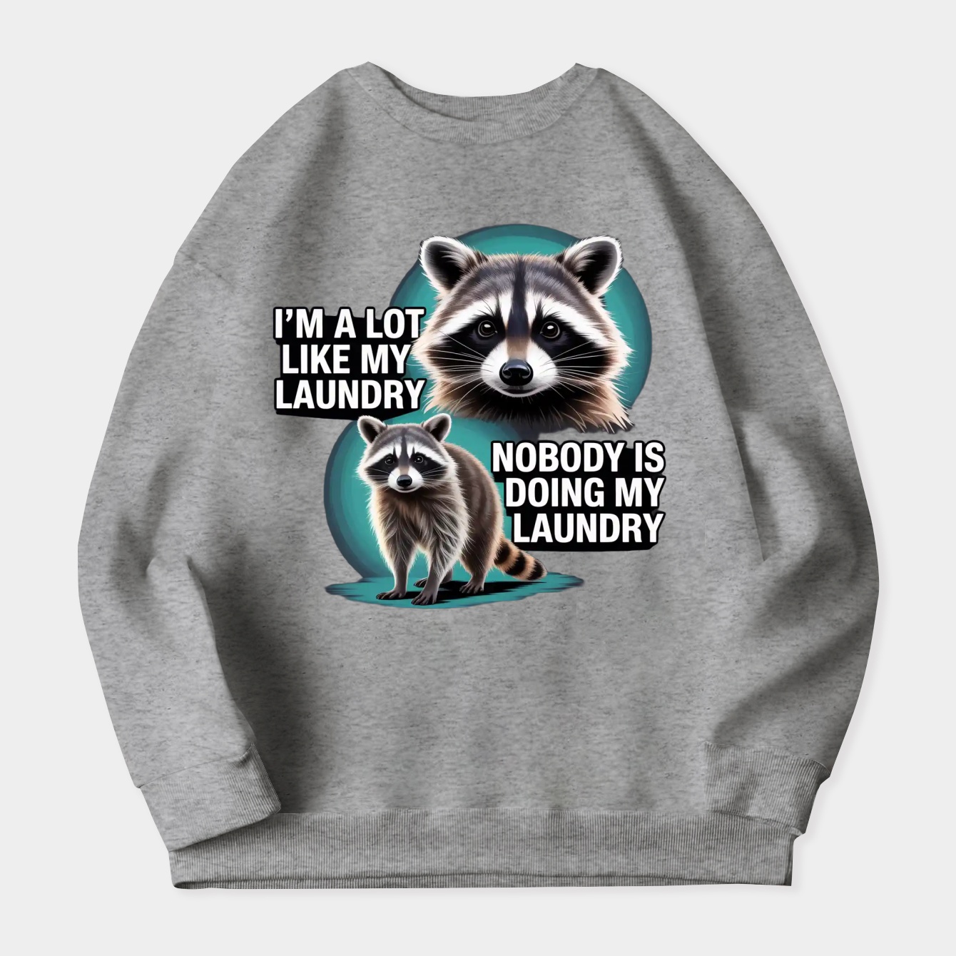 I'm a lot like my laundry Raccoon
