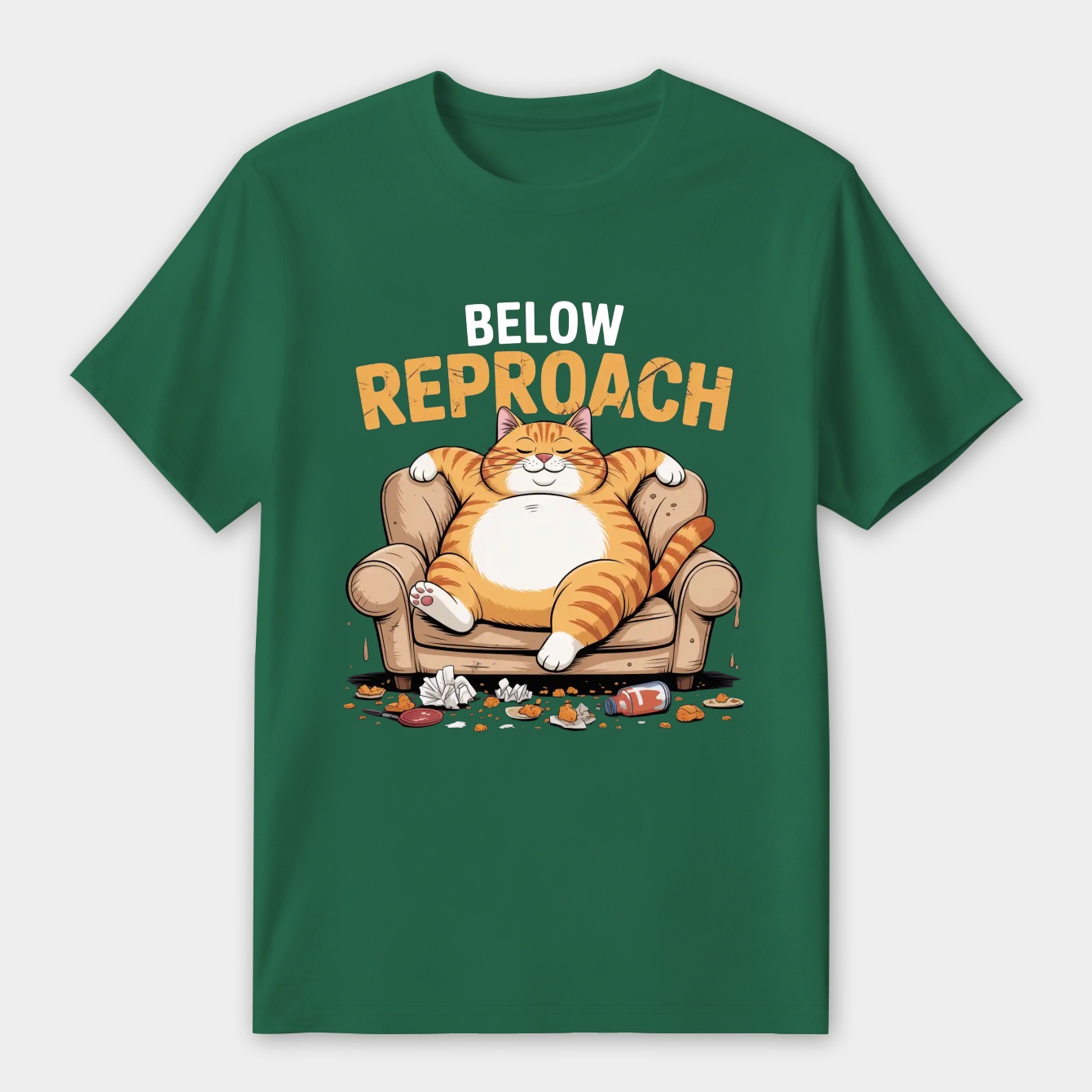 BELOW REPROACH Women's Premium Soft T-Shirt