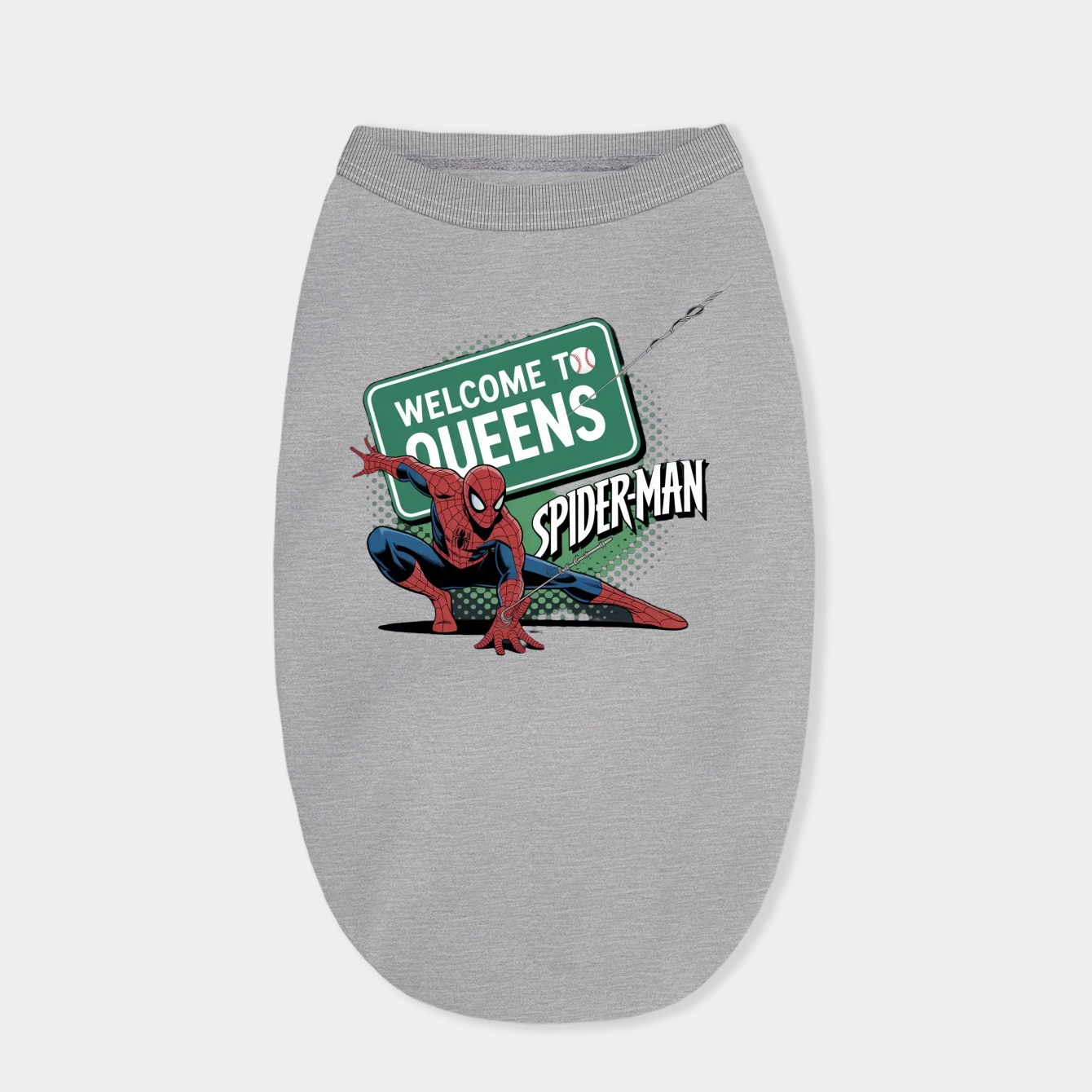 Spider-Man Homecoming Welcome to Queens