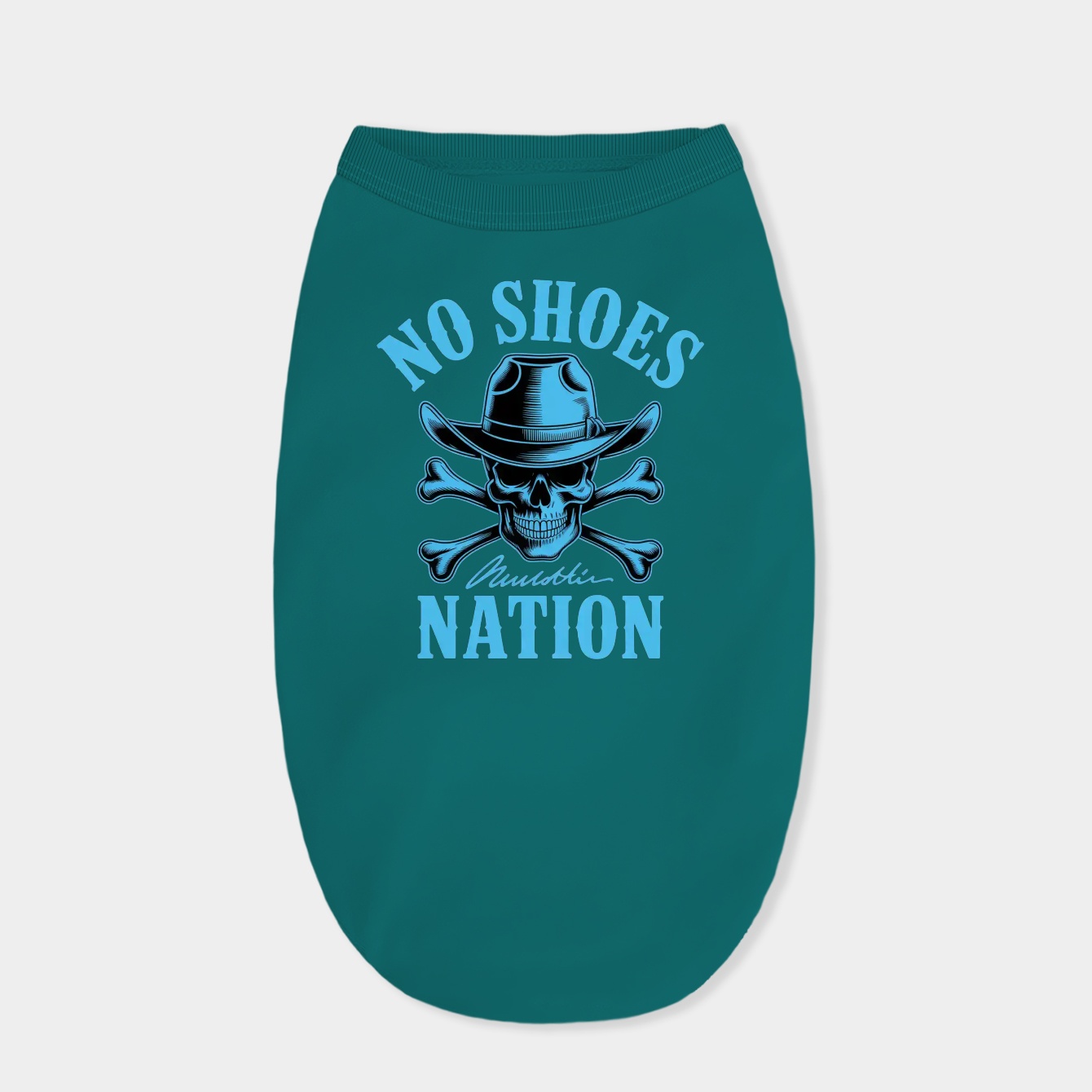 No Shoes Nation Kenny Chesney