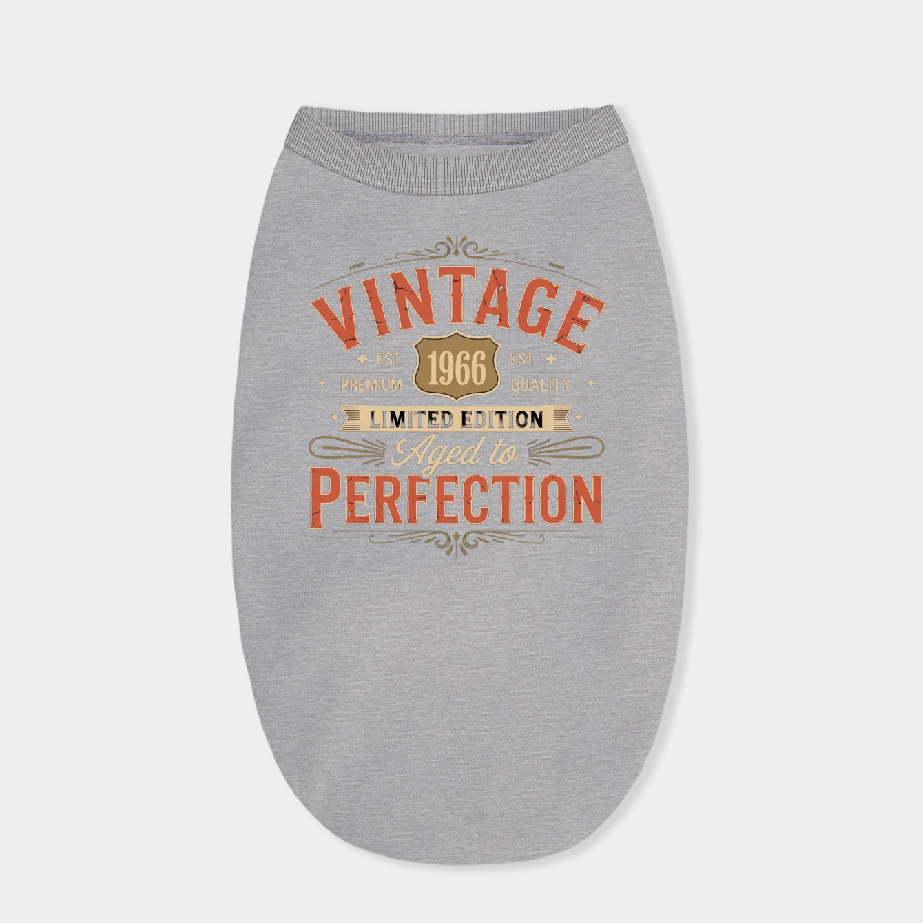 60th Birthday Vintage 1966 Retro Bday Gift For Him