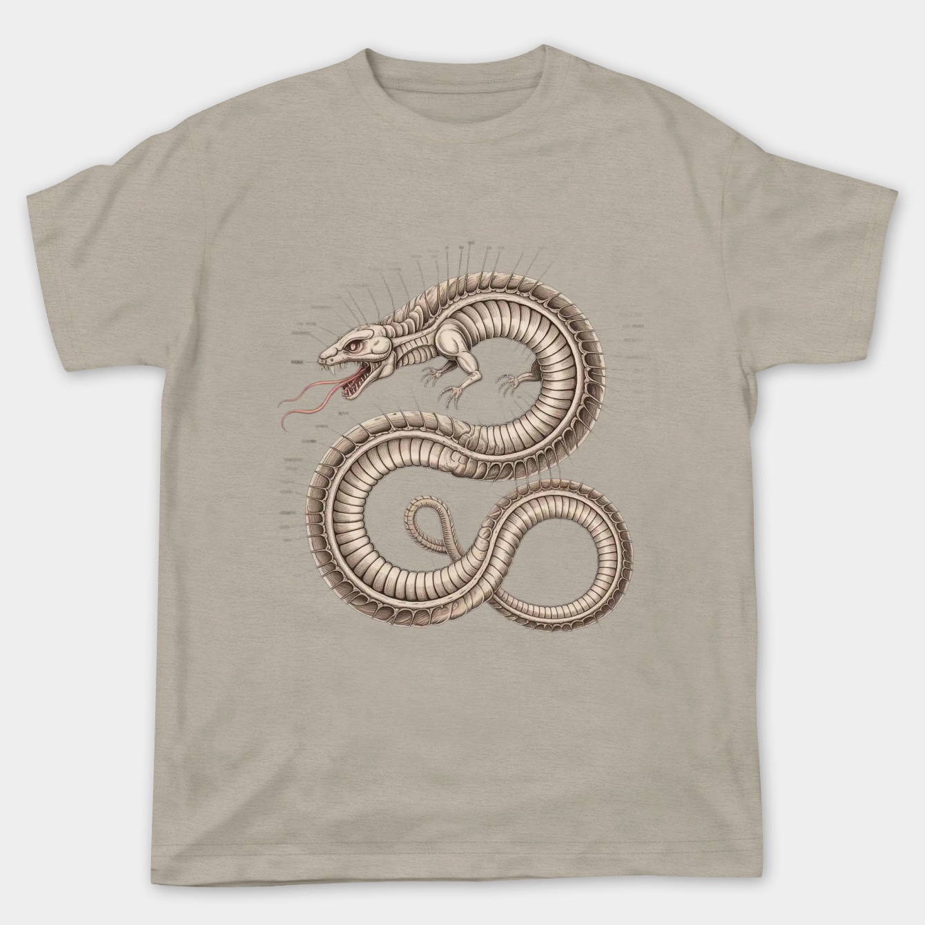 Rykard Anatomy (Labeled)