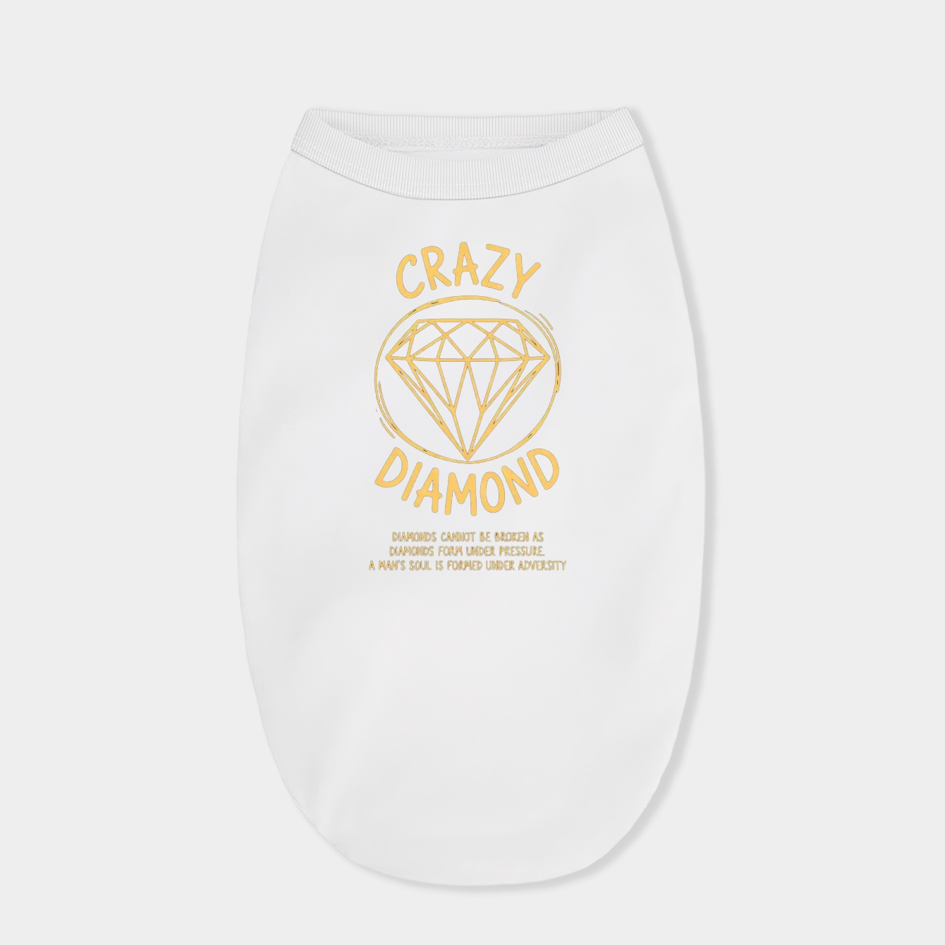 Crazy diamonds Quote Dog Shirt