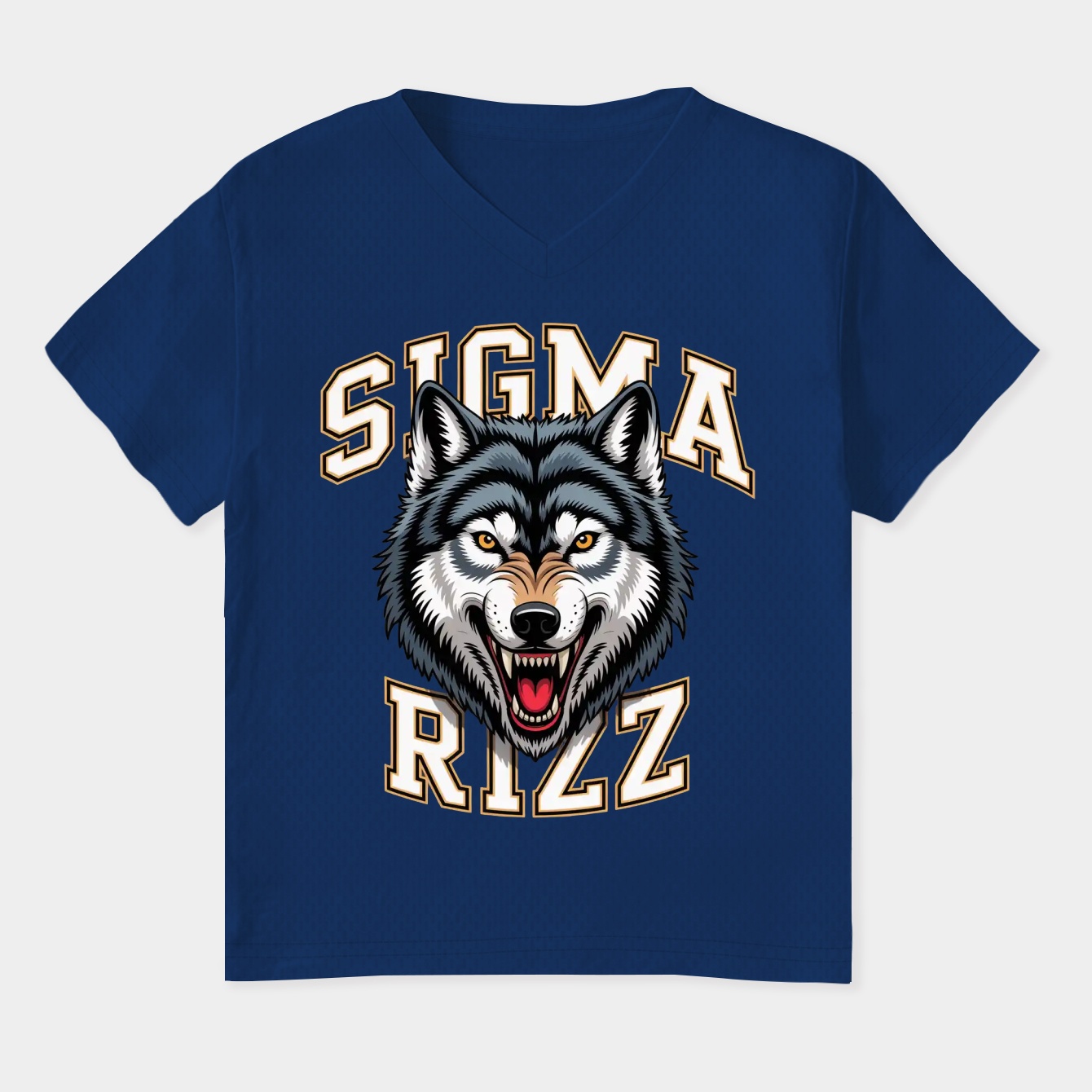 Sigma Rizz Women's Plus Size V-Neck T-Shirt