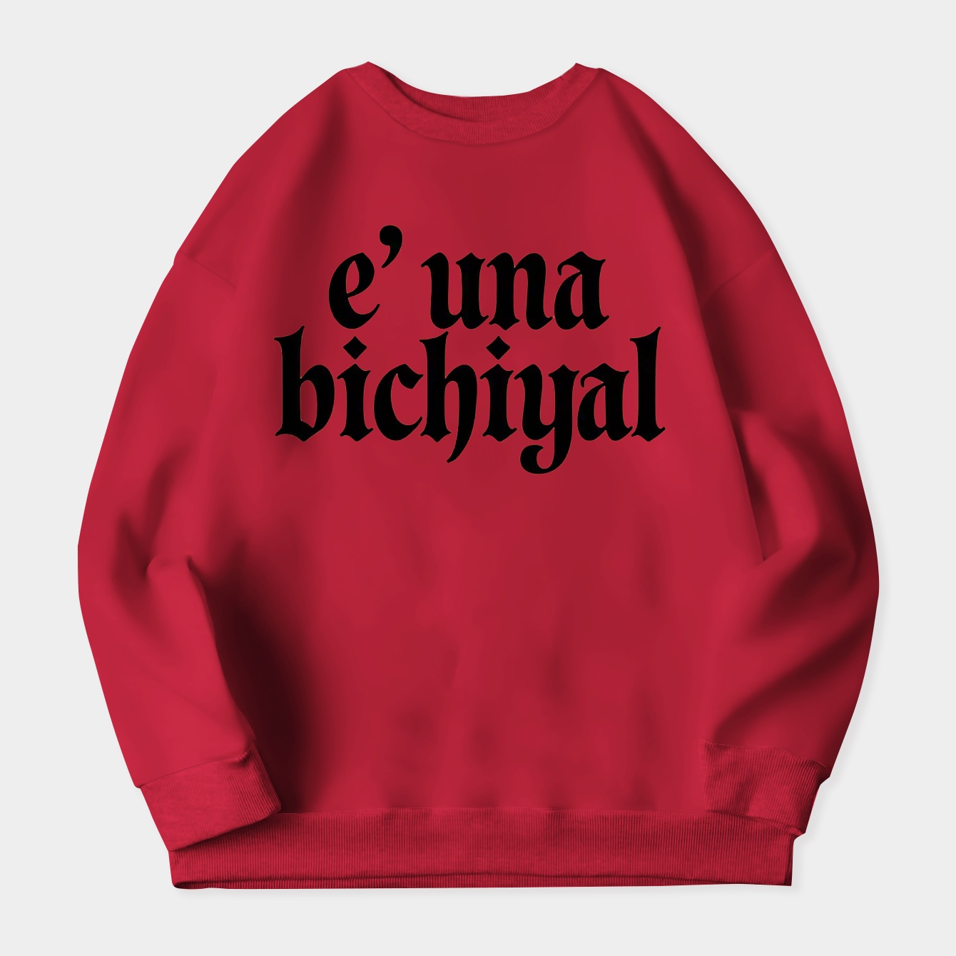 Bichiyal Women's Plus Size Sweatshirt