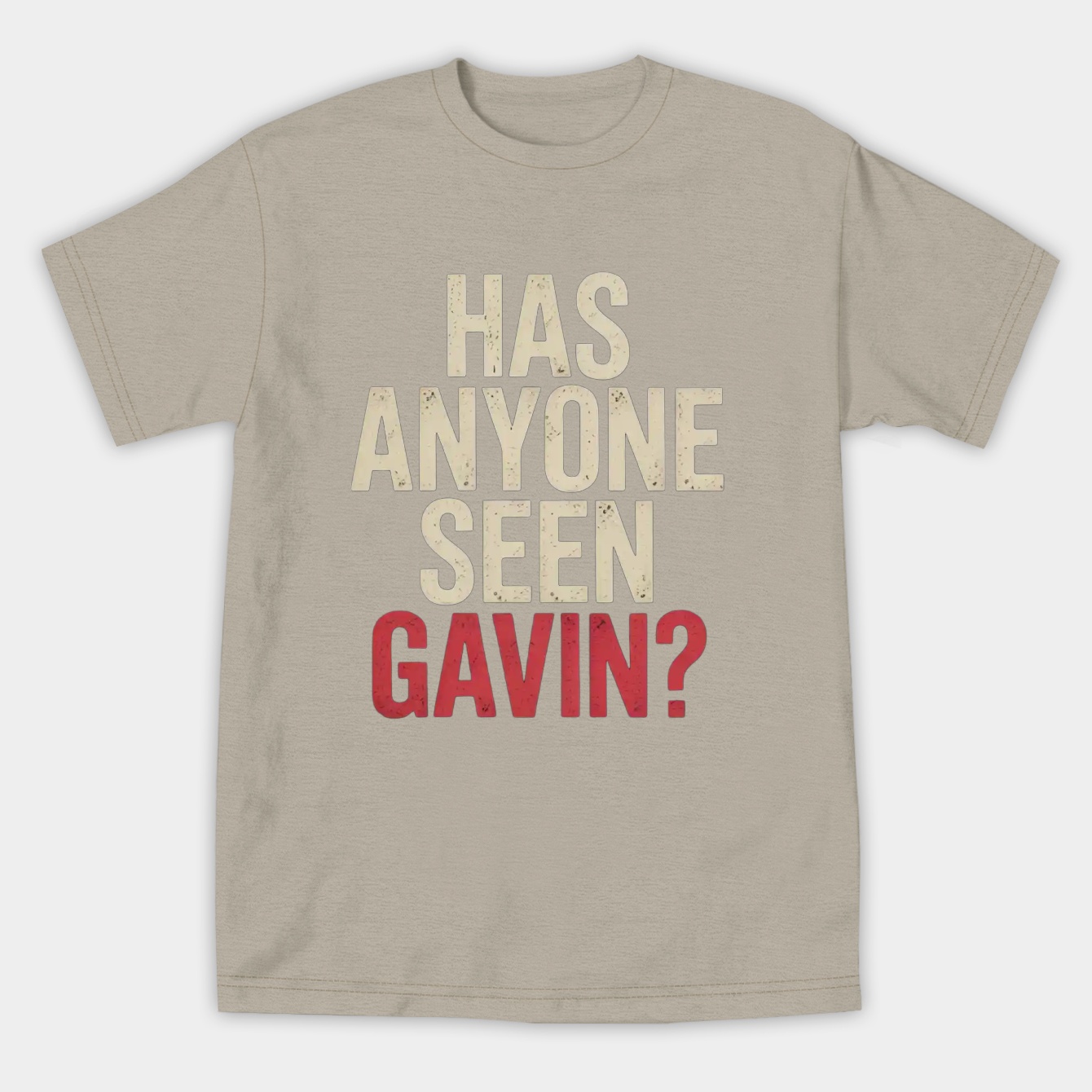 Has Anyone Seen Gavin Women's Athletic Performance T-Shirt