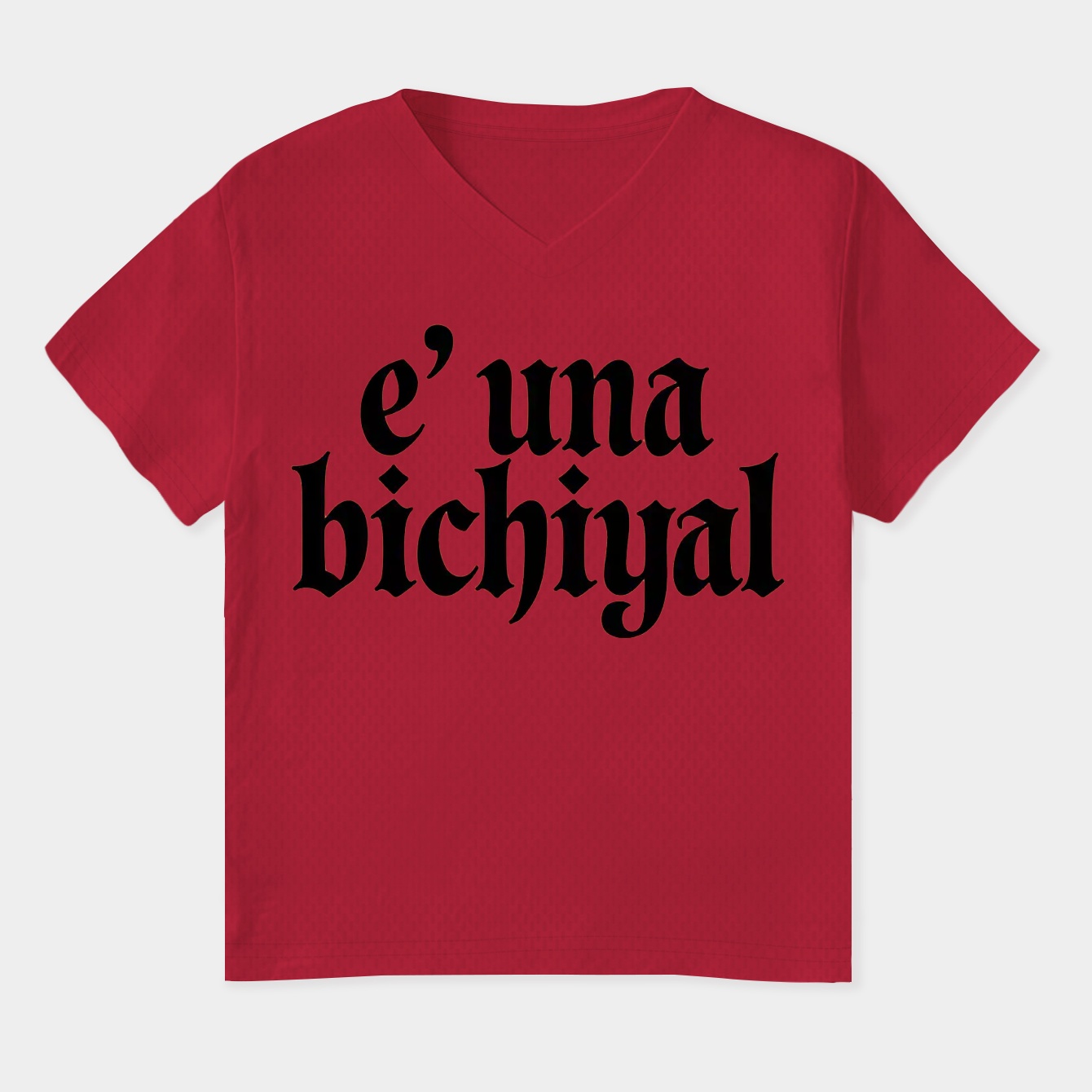 Bichiyal Women's Plus Size V-Neck T-Shirt
